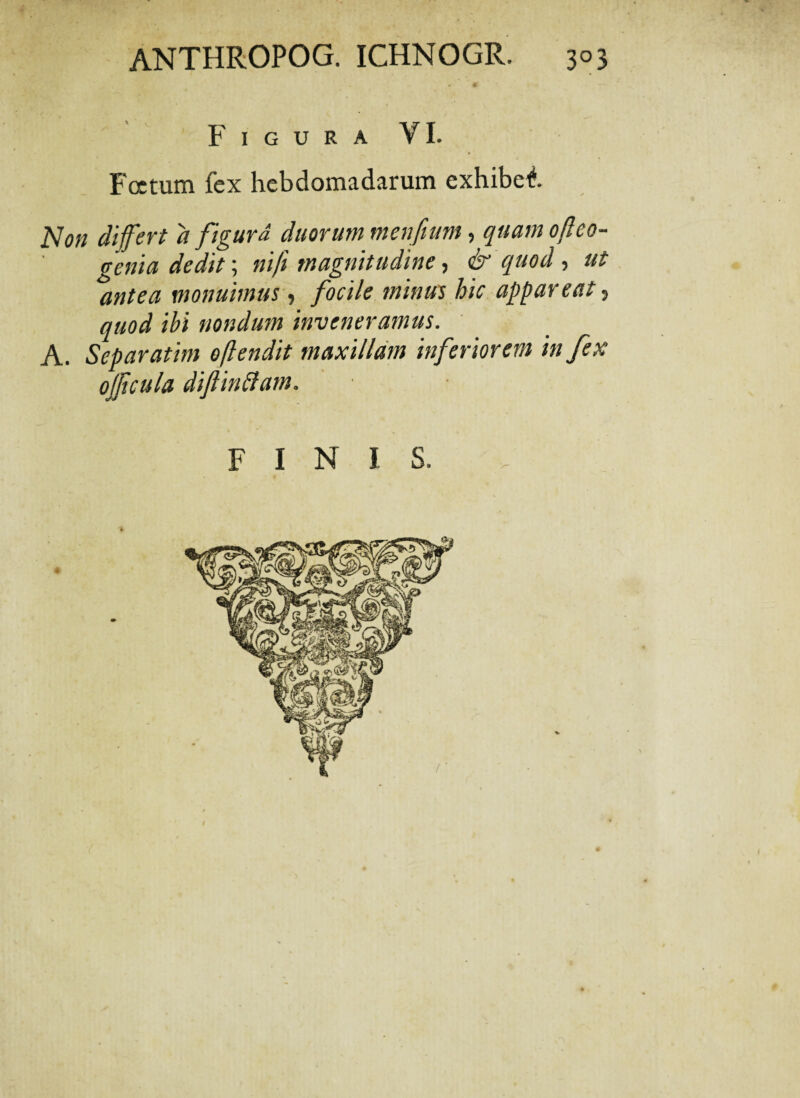 Figura VI. Foetum lex hebdomadarum exhibet Non di fert d figura duorum menfum, quamofleo- genia dedit; ni/i magnitudine, & quod , ut antea monuimus, fiocile minus hic appareat, quod ibi nondum inveneramus. A. Separatim oflendit maxillam inferiorem in fex ojfcula diftinffam. FINIS.