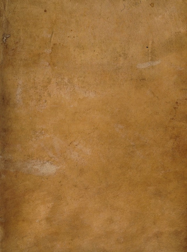 digitised image 1