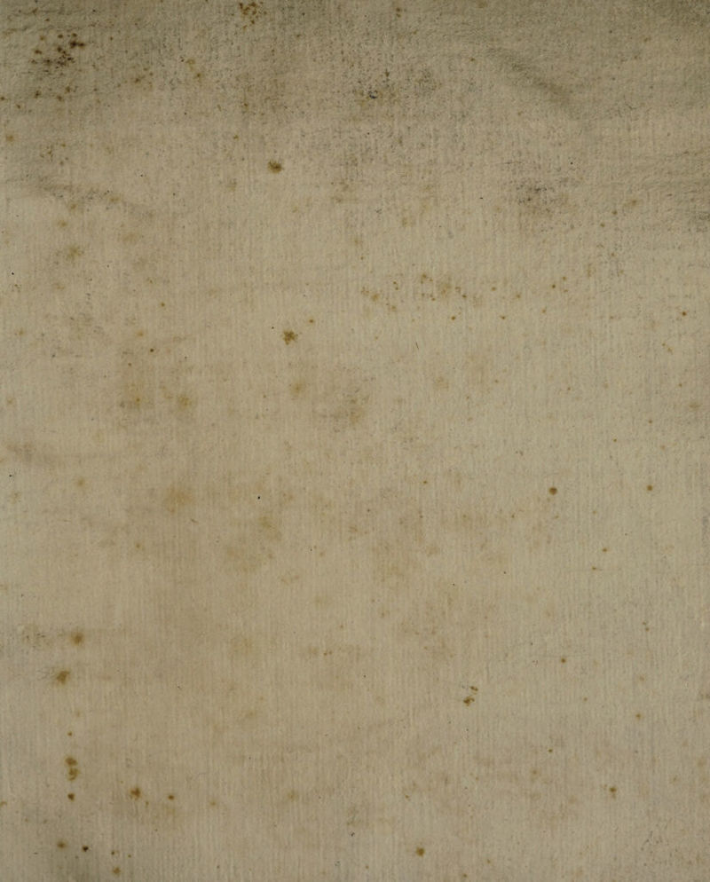 \ # 9 ltN 4 ? ♦ * s 4 •i