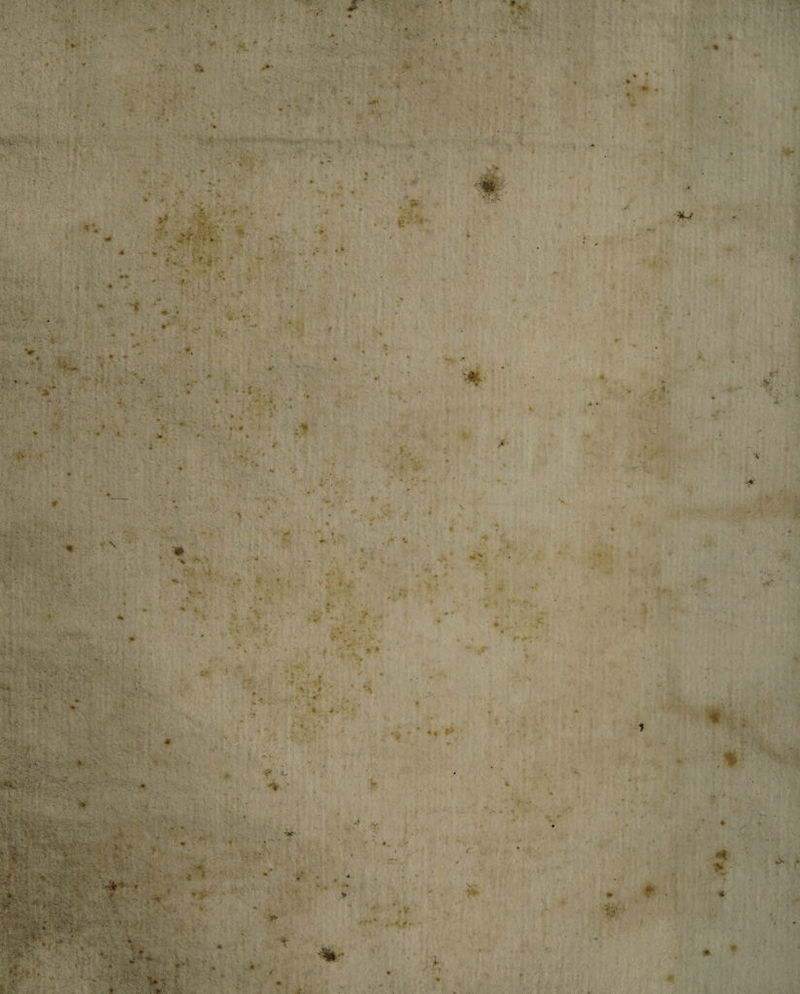 V ‘i- ** ■ ' 1 *■ &gt; i ♦