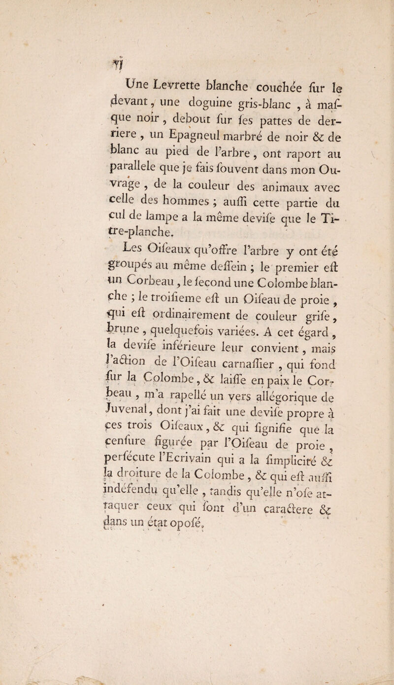 I Tl Une Levrette blanche couchée fur le jdevant y une doguine gris-blanc , à maf* que noir 5 debout fur les pattes de der¬ rière , un Epagneul marbré de noir & de blanc au pied de 1 arbre , ont raport au parallèle que je fais fouvent dans mon Ou- vi âge , de la couleur des animaux avec celle des hommes ; aufïi cette partie du cul de lampe a la même devife que le Ti¬ tre-planche, Les Oifeaux qu’offre l’arbre y ont été groupés au meme deffein ; le premier eft lin Corbeau ^ le fécond une Colombe blan¬ che ; le troifieme efl un Oiieau de proie 9 qui efl; ordinairement de couleur grife 9 brune , quelquefois variées. A cet égard 9 la de vile inférieure leur convient, mais J adion de FOifeau carnaffier , qui fond fur la Colombe, & îaiffe en paix le Corv beau , rn a rapelle un vers allégorique de Ju vénal , dont j ai fait une d.evile propre à ces trois Oifeaux , & qui fîgnife que la cenfure figurée par FOifeau de proie , per fécule 1 Ecrivain qui a la fimplicité & la droiture de la Colombe 5 & qui efl auffi ïndérendu qu’elle , tandis qu’ejle n’ofe at¬ taquer ceux qui font d’un caractère & dans un état opofé, /