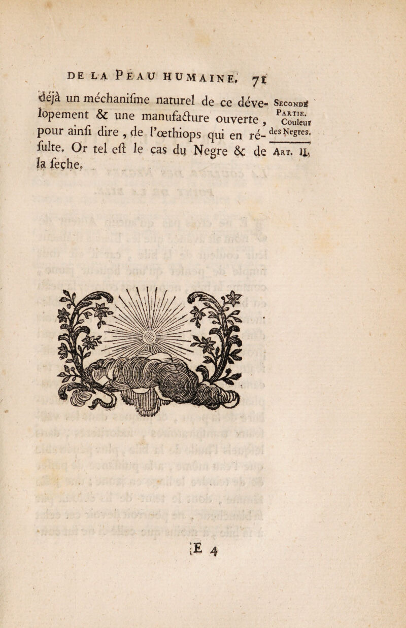 déjà un nrechamlnie naturel de ce déve- Secondé lopement & une manufadure ouverte, pour ainfi dire , de l’œthiops qui en ré-des^egres- fuite. Or tel eft le cas du Negre & de Art. )i, la feche.