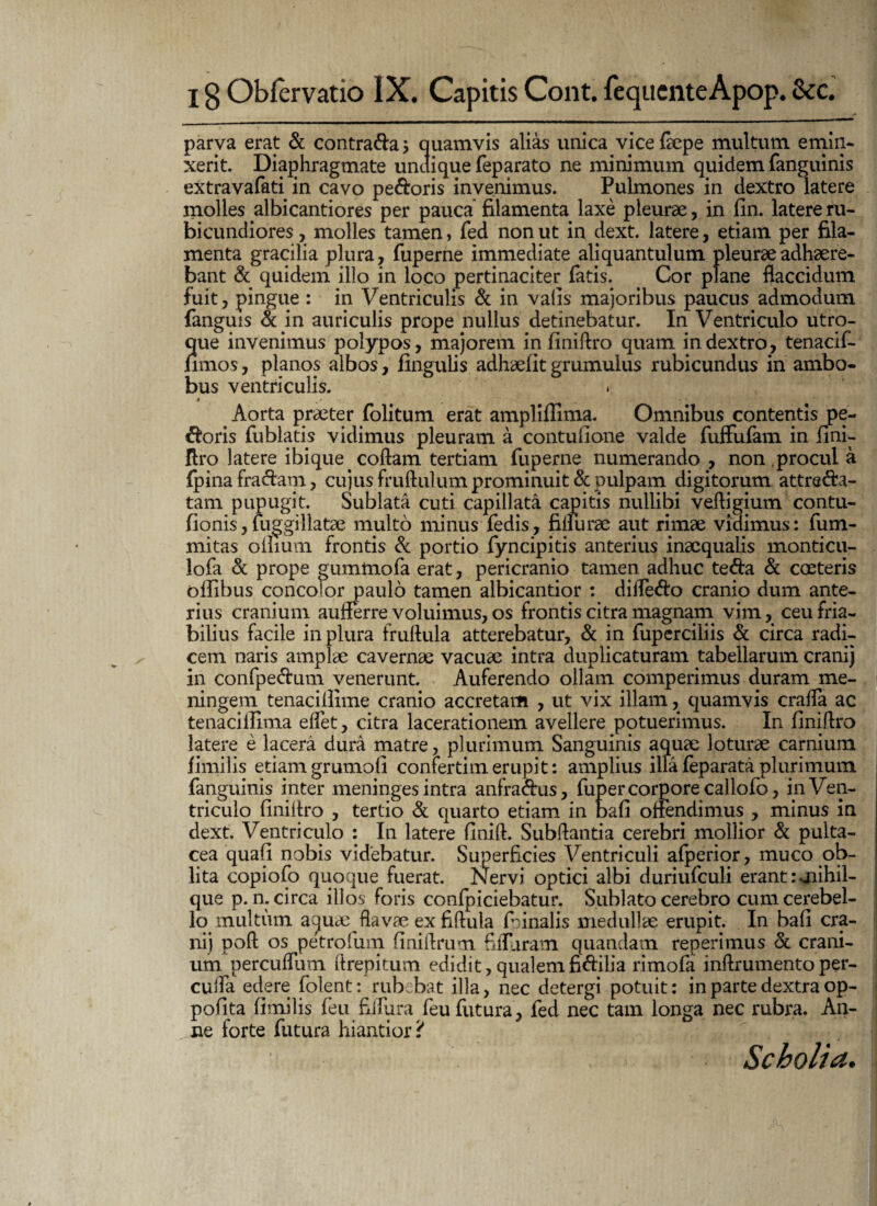 parva erat & contra&a j quamvis alias unica vice faepe multum emin- xerit. Diaphragmate undique feparato ne minimum quidem fanguinis extravafati in cavo pe&oris invenimus. Pulmones in dextro latere molles albicantiores per pauca filamenta laxe pleurae, in fin. latere ru¬ bicundiores , molles tamen, fed non ut in dext. latere, etiam per fila¬ menta gracilia plura, fuperne immediate aliquantulum pleurae adhaere¬ bant & quidem illo in loco pertinaciter fatis. Cor plane flaccidum fuit, pingue : in Ventriculis & in valis majoribus paucus admodum fanguis & in auriculis prope nullus detinebatur. In Ventriculo utro¬ que invenimus polypos, majorem in finiftro quam in dextro, tenacif- fimos, planos albos, lingulis adhaefit grumulus rubicundus in ambo¬ bus ventriculis. * • Aorta praeter folitum erat ampliffima. Omnibus contentis pe¬ coris fublatis vidimus pleuram a contulione valde fuffufam in lini- liro latere ibique. collam tertiam fuperne numerando , non procul a fpina fracftam, cujus fruftulum prominuit & pulpam digitorum attre&a- tam pupugit. Sublata cuti capillata capitis nullibi velligium contu- fionis, fuggillatae multo minus fedis, filiurae aut rimae vidimus: fum- mitas oihum frontis & portio fyncipitis anterius inaequalis monticu- lofa & prope guminofa erat, pericranio tamen adhuc te&a & coeteris oilibus concobr paulo tamen albicantior : dilfedo cranio dum ante¬ rius cranium aufierre voluimus, os frontis citra magnam vim, ceu fria¬ bilius facile in plura fruftula atterebatur, & in fuperciliis & circa radi¬ cem naris amplae cavernae vacuae intra duplicaturam tabellarum cranij in confpe&um venerunt. Auferendo ollam competimus duram me- ningem tenacillime cranio accretam , ut vix illam, quamvis crafla ac tenacillima eflet, citra lacerationem avellere potuerimus. In finiftro latere e lacera dura matre, plurimum Sanguinis aquae loturae carnium fimilis etiamgrumoll confertimerupit: amplius illa feparata plurimum fanguinis inter meninges intra anfra&us, fupercorporecallofo, in Ven¬ triculo finiftro , tertio & quarto etiam in bafl offendimus , minus in dext. Ventriculo : In latere flnift. Subftantia cerebri mollior & pulta- cea quafi nobis videbatur. Superficies Ventriculi afperior, muco ob¬ lita copiofo quoque fuerat. Nervi optici albi duriufculi erant: mihil- que p. n. circa illos foris confpiciebatur. Sublato cerebro cum cerebel¬ lo multum aquae flavae ex fiftula foinalis medullae erupit. In bafi cra¬ nij poft os petrofum finiftrum fiflliram quandam reperimus & crani¬ um percuflum ftrepitum edidit, qualemfi&ilia rimofa inftrumentoper- cuifa edere folent: rubebat illa, nec detergi potuit: in parte dextra op- pofita fimilis feu fiifura feu futura, fed nec tam longa nec rubra. An¬ ne forte futura hiantior i Scbolia.