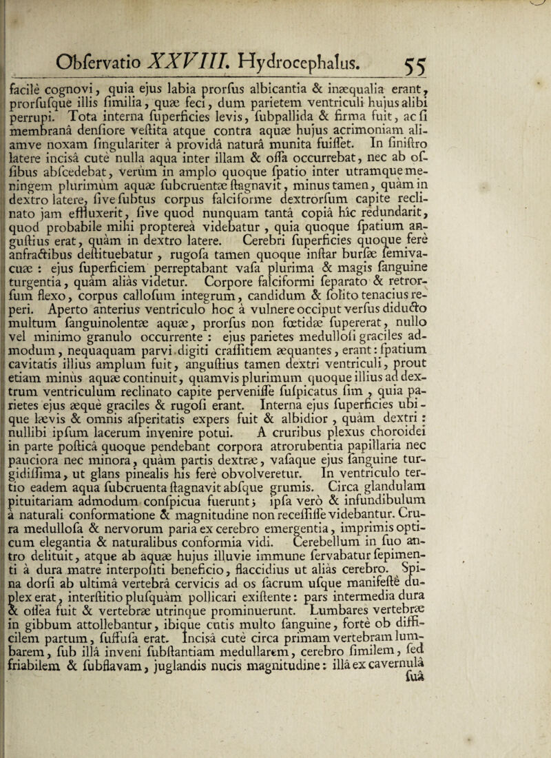 . - • ►. • . ' , £ - Obfervatio XXVIII. Hydrocephalus. 55 facile cognovi, quia ejus labia prorfus albicantia & inaequalia erant, prorfufque illis fimilia, quae feci, dum parietem ventriculi hujus alibi perrupi. Tota interna fuperficies levis, fubpallida & firma fuit, ac fi membrana denfiore veftita atque contra aquae hujus.acrimoniam ali- amve noxam fingulariter a provida natura munita fuiflet. In finiftro 1 latere incisa cute nulla aqua inter illam & ofla occurrebat, nec ab of- fibus abfcedebat, verum in amplo quoque fpatio inter utramque me- ningem plurimum aquae fubcruentae ftagnavit, minus tamen, quam in dextro latere, five fubtus corpus falciforme dextrorfum capite recli¬ nato jam effluxerit, five quod nunquam tanta copia hic redundarit, quod probabile mihi propterea videbatur , quia quoque fpatium an- guftius erat, quam in dextro latere. Cerebri fuperficies quoque fere anfradibus deftituebatur , rugofa tamen quoque inftar burfae femiva- ! cuae : ejus fuperficiem perreptabant vafa plurima & magis fanguine turgentia, quam alias videtur. Corpore falciformi feparato & retror- ; fum flexo, corpus callofum integrum, candidum & folito tenacius re- peri. Aperto anterius ventriculo hoc a vulnere occiput verfus didu&o multum fanguinolentae aquae, prorfus non foetidae fupererat, nullo vel minimo granulo occurrente: ejus parietes medull oli graciles ad¬ modum, nequaquam parvi , digiti craffitiem aequantes, erant yfpatium cavitatis illius amplum fuit, anguftius tamen dextri ventriculi, prout etiam minus aquae continuit, quamvis plurimum quoque illius ad dex¬ trum ventriculum reclinato capite perveniffe fufpicatus fim , quia pa- i rietes ejus aeque graciles & rugofi erant. Interna ejus fuperficies ubi - : que laevis & omnis afperitatis expers fuit & albidior , quam dextri: nullibi ip fum lacerum invenire potui. A cruribus plexus choroidei in parte poftica quoque pendebant corpora atrorubentia papillaria nec ! pauciora nec minora, quam partis dextrae, vafaque ejus (anguine tur- gidilfima , ut glans pinealis his fere obvolveretur. In ventriculo ter¬ tio eadem aqua fuberuenta ftagnavit abfque grumis. Circa glandulam pituitariam admodum confpicua fuerunt > ipfa vero & infundibulum a naturali conformatione & magnitudine non recefiilfe videbantur. Cru¬ ra medullofa & nervorum paria ex cerebro emergentia, imprimis opti¬ cum elegantia & naturalibus conformia vidi. Cerebellum in fuo an¬ tro delituit, atque ab aquae hujus illuvie immune fervabaturfepimen- ti a dura matre interpoliti beneficio, flaccidius ut alias cerebro. Spi¬ na dorfi ab ultima vertebra cervicis ad os facrum ufque manifeft£ du¬ plex erat, interftitio plufquam pollicari exiftente; pars intermedia dura ot oilea fuit & vertebrae utrinque prominuerunt. Lumbares vertebrae in gibbum attollebantur, ibique cutis multo fanguine, forte ob diffi¬ cilem partum, fuffufa erat. Incisa cute circa primam vertebram lum- barem, fub illa inveni fubftantiam medullarem, cerebro fimilem, fed friabilem & fubflavam, juglandis nucis magnitudine; illa ex cavernula