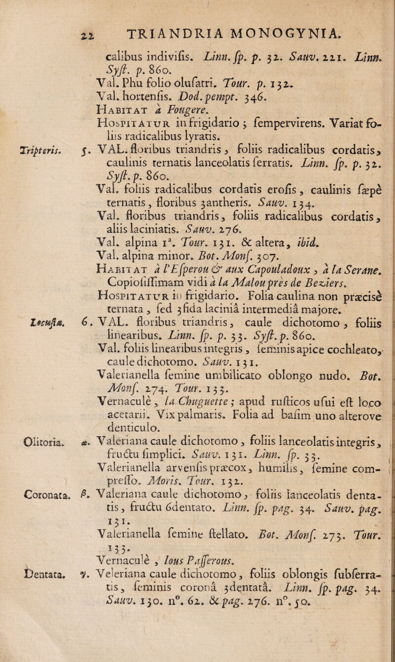 calibus indivifis. Linn.fp.p. 32. Sauv. 111. Lim. Syfi. p. 860. Val. Phu folio olufatri. Tour. p. 132. Val. hortenlis. Dod.pempt. 346. Habitat a Fougere. Hospitatur in frigidario 3 fempervirens. Variat fo¬ liis radicalibus lyratis. Triptsris. 5. VAL.foribus mandris > foliis radicalibus cordatis* caulinis ternatis lanceolatis ferratis. Lmn. fp. p. 32, Syft.p. 860. Val. foliis radicalibus cordatis erofis , caulinis faepe ternatis, floribus 3antheris. Sauv. 134. Val. floribus mandris, foliis radicalibus cordatis, aliis iaciniatis. Sauv. 276. Val. alpina i\ Tour. 131. & altera, ibid. Val. alpina minor. Bot. Afonf 307. Habitat d BEfperou & aux Capouladmx * d ta Ser ane. Copiofiflimam vidi d U Aidloupres de BeTiers. Hospitatur in frigidario. Folia caulina non praecisi ternata , fed 3 fida lacinia intermedia majore. Zteu/t*. 6. VAL. floribus triandris, caule dichotomo, foliis linearibus. Lmn. fp. p. 33. Syft.p. 860. Val. foliis linearibus integris, (eminis apice cochleato, caule dichotomo. Sauv. 131. Valerianella femine umbilicato oblongo nudo. Bot. Afonf. 274. Tour. 133;. Vernacule, ia Chuguette; apud rufticos ufui efl: loco acetarii. Vix palmaris. Folia ad bafim uno alter ove denticulo. Olitoria. Valeriana caule dichotomo , foliis lanceolatis integris , frudfcuflmplici. Sauv. 131. Lmn. fp. 33. Valerianella ar veniis praecox, humilis, femine com- J preflo. Moris. Tour. 132. Coronata. /L Valeriana caule dichotomo, foliis lanceolatis denta- * tis, frudu 6dentato. Lmn. fp. pag. 34. Sauv. pag. : 131. Valerianella femine ftellato. Bot. Monf. 173. i Vernacule , lous Pajferous. Dentata. V. Veleriana caule dichotomo, foliis oblongis fubferra- tis, ,(eminis corona 3dentata. Llnn. fp. pag. 34. Sauv. 130. n°. 62. Scpag. 276. n°. jo.