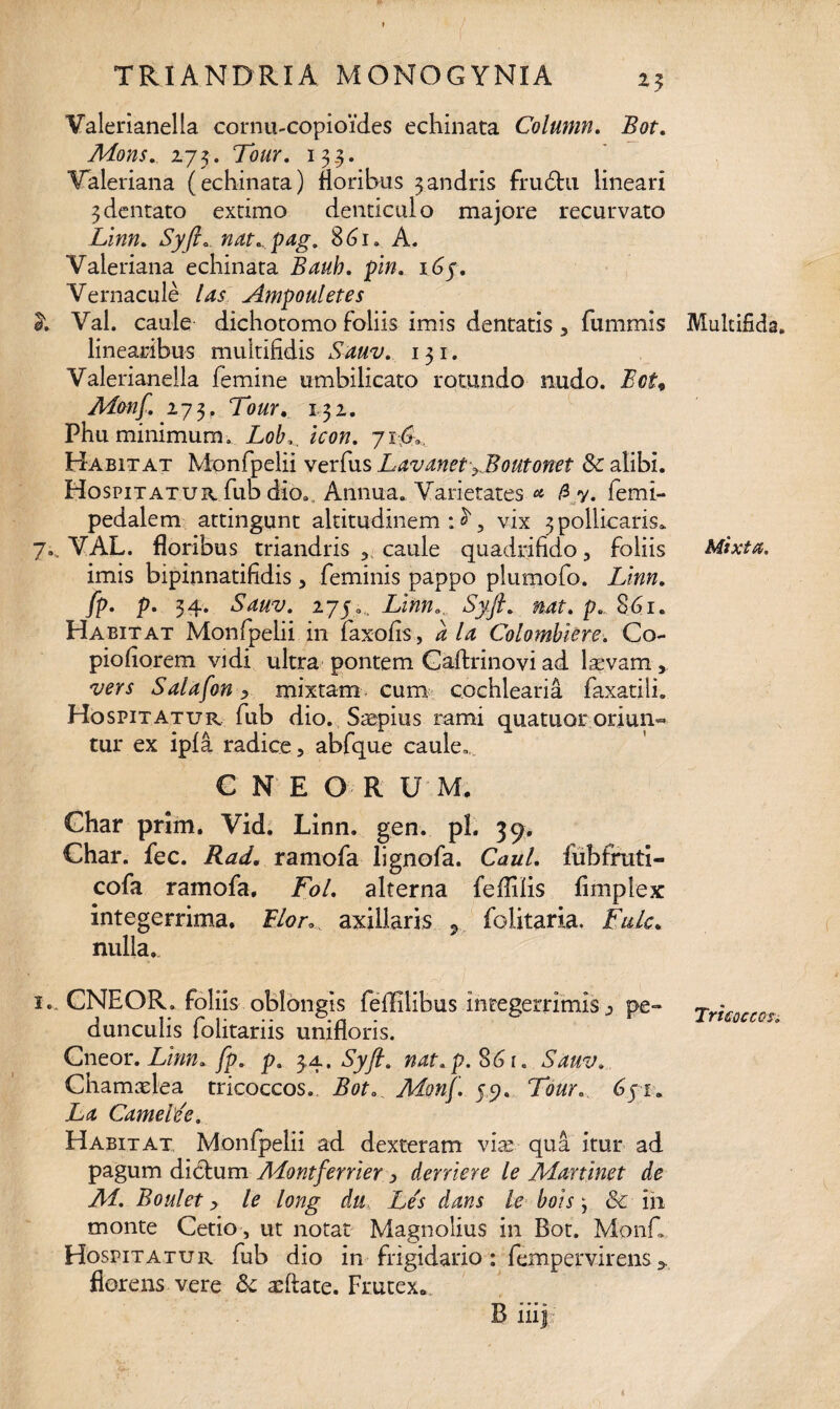 Valerianella corniucopioides echinata Column. Bot. Mons. 275. Tour. 13.3. Valeriana (echinata) floribus 3andris frudhi lineari 3dentato extimo denticulo majore recurvato Linn. Syfi. nat., pag. 86 1. A. Valeriana echinata Bauh. pin. 16 p. Vernacule las Ampouletes h Val. caule dichotomo foliis imis dentatis , fummis linearibus multifidis Sauv. 131. Valerianella femine umbilicato rotundo nudo. Ect* Monf. 273, Tour. 132. Phu minimum. Lofn, irow. 71&, Habitat Monfpelii verfus Lavanet^Boutonet & alibi. Hospitatur fub dio. Annua. Varietates ^ &y. femi- pedalem attingunt altitudinem ; ^, vix 3 pollicaris. 7., VAL. floribus triandris , caule quadrifido, foliis imis bipinnatifidis, feminis pappo plumofo. Linn. fp. p. 34. Sauv. 275.,, Linn.u Sy.fi. nat. p., 861. Habitat Monfpelii in faxofis, ala Colombiere. Co- piofiorem vidi ultra pontem Caftrinovi ad laevam vers Salafon r mixtam cum cochlearia faxatili. Hospitatur fub dio. Saepius rami quatuor oriun¬ tur ex ipfa radice, abfque caule, € N E O R U M. Ghar prim. Vid. Linn. gen. pl. 39. Char. fec. Rad. ramofa lignofa. Caul. liibfruti- cofa ramofa. Fol. alterna fefliiis fimplex integerrima. Flor, axillaris 5 folitaria. Fulc. nulla. 1. CNEOR. foliis oblongis feflilibus integerrimis j pe¬ dunculis folitariis unifloris. Cneor. Linn. fp. p. 3.4. Syft. nat.p. 86 r. Sauv. Chamaelea tricoccos. Bot. Monf. 59. Tour.. 65t. La Came Ide. Habitat Monfpelii ad dexteram vite qua itur ad pagum dictum AEontferrier , demere le Martinet de M. Boulet > le long du Le's dans le bois, & in monte Getio , ut notat Magnolius in Bot. Monf. Hospitatur fub dio in frigidario: fempervirens > florens vere & aeftate. Frutex. B iiij: Multifida. Mixta. Tricoccos„