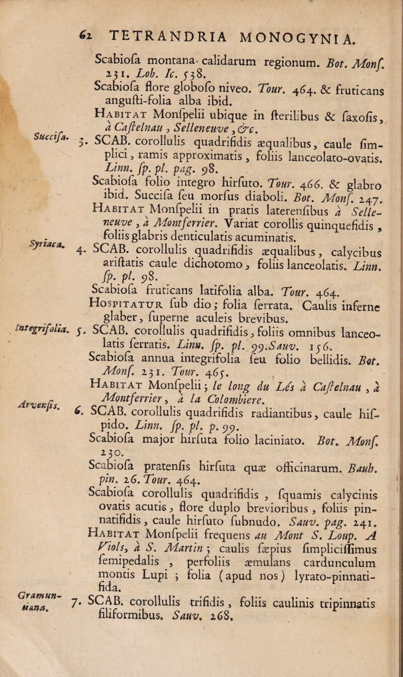 Syriaca. Integrifalia. Arvenfs. Gr&mun- ttana. Scabiofa montana calidarum regionum. Bot. Monf. 251. Lob. Ic. 538. Scabiofa flore globofo niveo. Tour. 4.64. & fruticans angufti-folia alba ibid. Habitat Monfpelii ubique in fterilibus & faxofis, a Cafielnau , Selleneuve , &c. 5. SCAB. corollulis quadrifidis aequalibus, caule fim- plici 5 ramis approximatis , foliis lanceolato-ovatis. Linn. fp. pl. pag. 98. Scabiofa folio integro hirfuto. Tour. 466. Sc glabro ibid. Succifa feu morfus diaboli. Bot. Monf. 247. Habitat Monfpelii in pratis laterenfibus a Selle- Ticuvc , a Jbdontfcmcr. Variat corollis qumquefidis 9 foliis glabris denticulatis acuminatis. 4» SCAB. coiollulis quadrifidis aequalibus , calycibus ariftatis caule dichotomo y foliis lanceolatis. Linn. fp- pi- 98. Scabiofa fruticans latifolia alba. Tour. 464. Hospitatur fub dio; folia ferrata. Caulis inferne glaber, fuperne aculeis brevibus. 5. SCAB. corollulis quadrifidis, foliis omnibus lanceo¬ latis ferratis. Linn. fp. pl. ^.Smv. ij6. Scabiofa annua integrifolia feu folio bellidis. Bot. Monf. 231. Tour. 46j. Habitat Monfpelii; le long du Les a Caftelnau 3 a Montferrier, a la Colombiere. SCAB. corollulis quadrifidis radiantibus, caule hif- pido. Linn. fp. pl. p. 99. Scabiofa major hirfuta folio laciniato. Bot. Monf. 230. Scabiofa pratenfis hirfuta quae officinarum. Bauh. pin. 16. Tour. 464. Scabiofa corollulis quadrifidis , fquamis calycinis ovatis acutis, flore duplo brevioribus , foliis pin- natifidis, caule hirfuto fubnudo. Sauv. pag. 241. Habitat Monfpelii frequens au Mont S. Loup. A TioLy a S. Martin ; caulis flepius fimplicillimus femipedalis , perfoliis aemulans cardunculum montis Lupi ; folia (apud nos) lyrato-pinnati- fida. 7. SCAB. corollulis trifidis, foliis caulinis tripinnatis filiformibus. Sauv. 268.