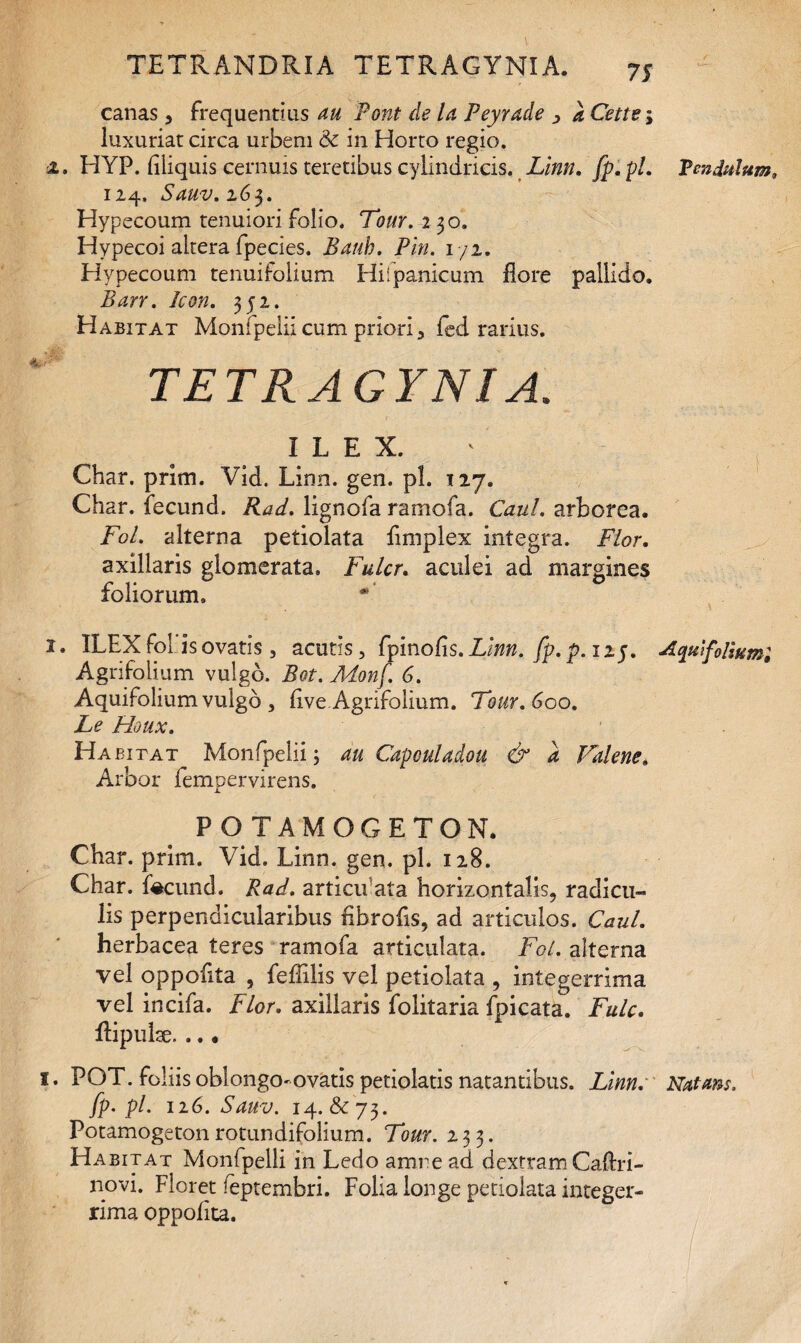 canas, frequentius au Pont de la Peyrade , a Cette> luxuriat circa urbem Sc in Horto regio. ■i. HYP. filiquis cernuis teretibus cylindricis. Linn. fp. pL 124. Sauv. 263. Hypecoum tenuiori folio. Tour. 2 30. Hypecoi altera fpecies. Bauh. Pin. 1/2. Hypecoum tenuifolium Hilpanicum flore pallido. Ban. Icon. 352. Habitat Monfpelii cum priori 5 fed rarius. TETRAGYNIA. ILEX. Char. prim. Vid. Limi. gen. pl. 127. Char. fecund. Rad. lignofa ramofa. Caul. arborea. Fol. alterna petiolata fimplex integra. Flor. axillaris glomerata» Fulcr. aculei ad margines foliorum, 1. ILEX fol is ovatis, acutis, fpinofls. Linn. fp.p.115. Agri foliam vulgo. Bot. Monf. 6. Aquifolium vulgo , flve Agrifolium. Tour. 600. Le Houx. Habitat Monfpelii; au Capculadou & a Valene, Arbor fempervirens. POTAMOGETON. Char. prim. Vid. Linn. gen. pl. 128. Char. fecund. Rad. articif ata horizontalis, radicu¬ lis perpendicularibus flbrofis, ad articulos. Caul. herbacea teres ramofa articulata. Fol. alterna vel oppoflta , feffilis vel petiolata , integerrima vel incifa. Flor. axillaris folitaria fpicata. Fulc. Ripulae. .. • 1. POT. foliis oblongo^ovatis petiolatis natantibus. Linn. fp-pl. 126. Sauv. 14. & 73. Potamogeton rotundifolium. Tour. 233. Habitat Monfpelli in Ledo amne ad dextram CaAn- novi. Floret feptembri. Folia longe petiolata integer¬ rima oppoflta. Pendulum, Aquifolium', Natans.