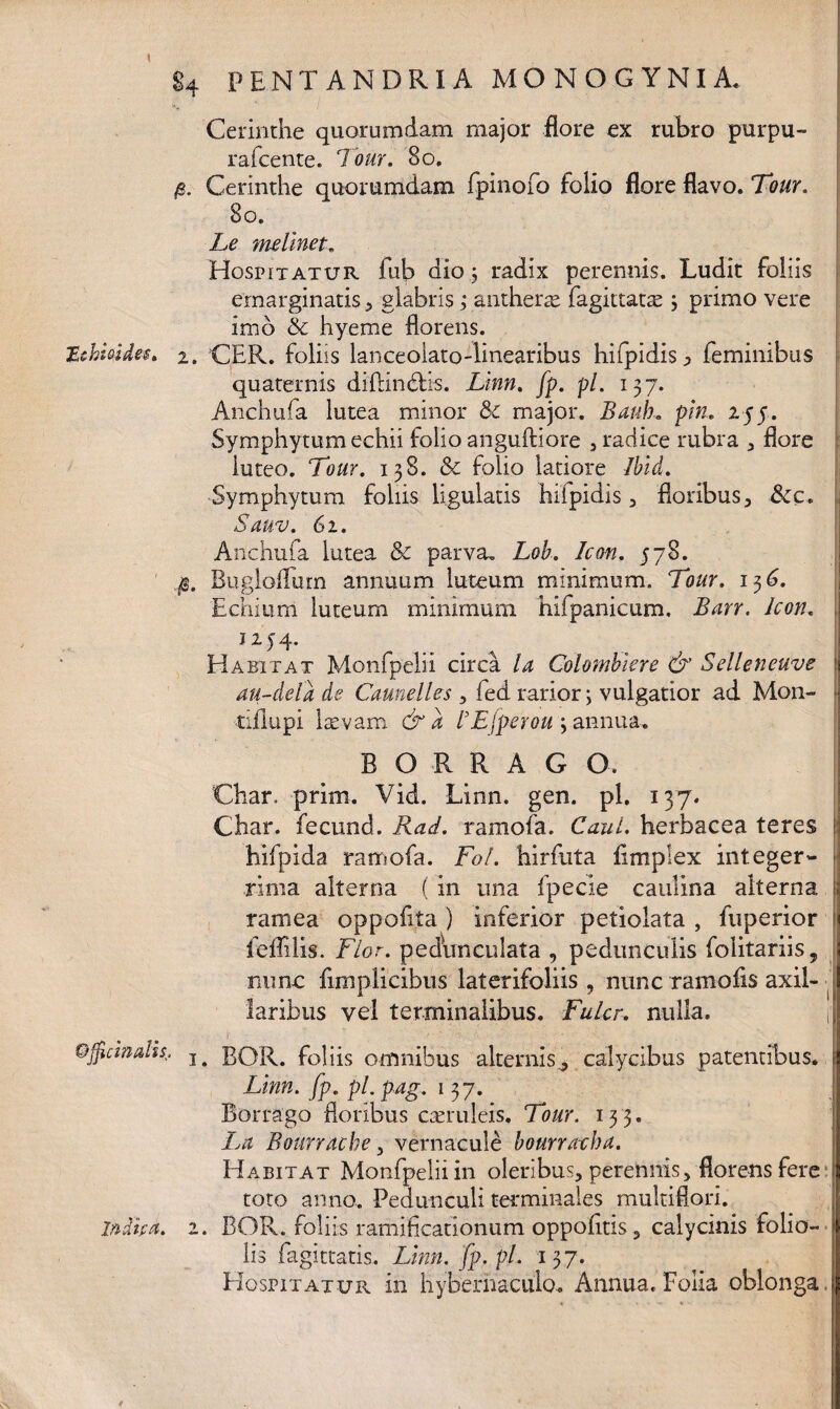 Cerinthe quorumdam major flore ex rubro purpu- rafcente. Tour. 80. $. Cerinthe quorumdam fpinofo folio flore flavo. Tour. 80. Le melinet. Hospitatur fub dio 3 radix perennis. Ludit foliis emarginatis , glabris ; antherae fagittatae; primo vere imb & hyeme florens. Zchmdes. 2. CER. foliis lanceolato-linearibus hifpidis , feminibus quaternis diftin&i-s. Linn. jp. p/. 137. Anchufa lutea minor 61 major. Bauh» pin, 2.55. Symphytum echii folio anguftiore , radice rubra , flore luteo. Tour. 138. Sc folio latiore Jbid. Symphytum foliis ligulatis hifpidis , floribus, &c. Sauv. 6 1. Anchufa lutea & parva. L0&. A072. 578. Bugloflutn annuum luteum minimum, Tour. 136. Echium luteum minimum hifpanicum, Barr. Icon. j z y 4. Habitat Monfpelii circa Lz Colombiere & Selleneuve au-dela de Camelles , fed rarior; vulgatior ad Mon- tiflupi laevam &a l3Ejperou ; annua. B O R R A G O. Char, prim. Vid. Linn. gen. pl. 137. Char. fecund. Rad. ramofa. Cani, herbacea teres hifpida ramofa. Fol. hirfuta flmplex integer¬ rima alterna ( in una fpecie caulina alterna ramea oppofita ) inferior petiolata , fuperior feflllis. Flor, pedunculata , pedunculis folitariis, nunc flmplicibus laterifoliis , nunc ramofls axil¬ laribus vel terminalibus. Fulcr. nulla. f r Qjficmidis. BQR. foliis omnibus alternis^ calycibus patentibus. Linn. fp. pl. pag. 137. Borrago floribus caeruleis, Tour. 133. La Bourrucbe, vernacule bourraxha. Habitat Monfpelii in oleribus, perennis, florens fere toto anno. Pedunculi terminales multiflori. indita. 1. BOR. foliis ramificationum oppofltis, calycinis folio¬ lis fagittatis. Linn. fp.pl. 137. Hospitatur in hyberhaculo. Annua. Folia oblonga