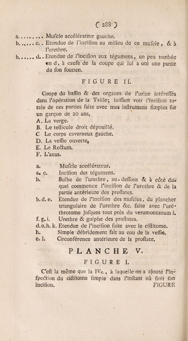 a. «. .0. ... Mufcle accélérateur gauche. b. ..... c.. Etendue de l’incifion au milieu de ce mufcle 9 & à l’uretbre. b...... d..Etendue de l’incifion aux tégurhcns, un peu tombée end, à caufe de la coupe qui lui a oté une partie de fon fou tien. FIGURE IL Coupe du baffin & des organes de l’urine intéreiïes dans l’opération de la Taille; laiifant voir l’incifion to* taie de ces parties faite avec mes inftrumens lîmples fur un garçon de 20 ans. A. La verge. B. Le tefticule droit dépouillé. C Le corps caverneux gauche. D. La veffie ouvertef E. Le Reétum. F. L’anus. a. Mufcle accélérateur. a. c. Incifion des tégumens. b. Bulbe de furethre, au-defious & à côté dû* quel commence l’incifion de l’urethre & de la partie antérieure des proftates, b. d. e. Etendue de l’incifion desmufcles, du plancher triangulaire de l’urethre &c. faite avec l’uré* throtome jufques tout près du verumontanum L f. g.i. Urethre & golphe des profiates. d. e.h, k. Etendue de l’incifion faite avec le ciftitome. b. Simple débridement fait au coü de la veffie. e. 1. Circonférence antérieure de la proftate. PLANCHE V. FIGURE I. C’eft la même que la IVe., à laquelle on a ajouté l’in“ fpeétion du ciftitome fimpie dans l’inffant où finit fon incifion. FIGURE