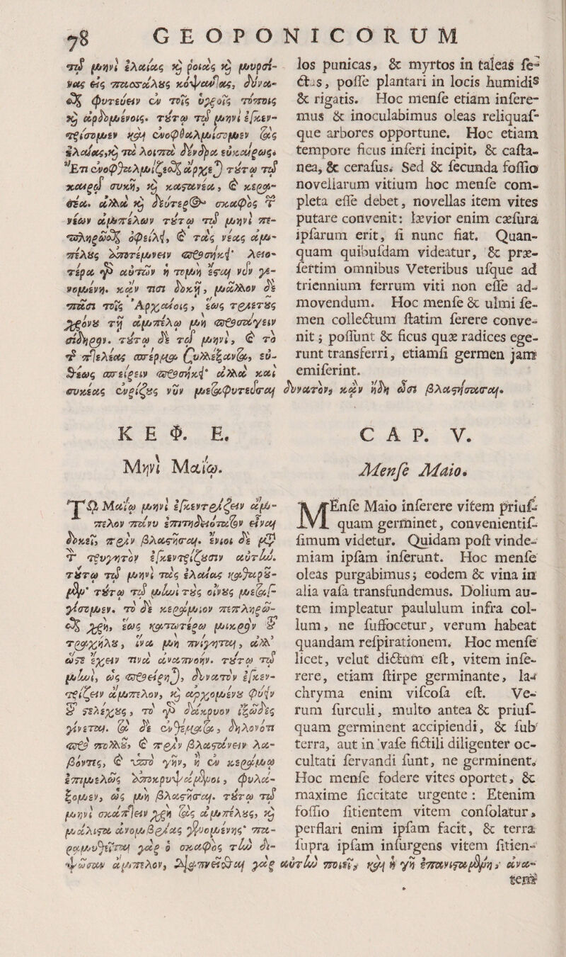 ttS Ιλοί<«ς ^otcci (Ανρσί^ νοίς €ΐζ '?ιτίο^χλ8ς κοψβΜ^^Λί, AVcfi- ^ φνηυαν ό τνΐς ν^οΐς τό^τΌΐς ρζ e£ph(A*Bvot<i> τ4τω rzS [Attjvl ifctv- ·τξ{(Γομ*ιν >(^ (^οφ§ΰ(>λμ*ίστμ»ξν iXuieciii^ τϊλ λοίττα Ην^οί Βοκαΐξαζ* ’Ετι c^o φ^ίλμ^Ιζί^,Λρχΐ'^ τύτα> χ6Μξ^ avmi KccfKvsei i (c' κ,εζβί- ύΈα. d?>ti(c AyVs^@^ σκοιφοξ Τ ysciiv cAfJbTrsXav τΐίτω ttS μ^ψΐ ττε- 'ΐσΚνίξκ^ οφίίλ{, ^ τχς νεχζ «ρ- ηίλϋς ^^Tifjuveiv «zsoW»*/' Amo- npsc y> uoTzov tj Trpfi sr^i/ vdv 'μ- yofAtivij, jcitfV Ticn h)K^, fZ/xX^ov τοΧζ 'Αρχ,ο(4οίζί ίώ/ς τ^Αετας ^ovis τί} dy/'^λω pn <23t$crz)(>yiiv τύτω toJ f/jv^vli ^ T? οστερμο(, sw- 5'ί»ς σζηΙξίίν <zet9o^iC’i' κΛί βνζίοίζ ε^ξίζϋζ yyv ps^ipyTicfo-a/ los punicas, & myrtos in taleas ie^ Ctjs, poiTe plantari in locis humidi® & rigatis. Hoc menfe etiam infere¬ mus & inoculabimus oleas reliquaf* que arbores opportune. Hoc etiam tempore ficus inferi incipit> &; cafta- nea, & cerafus* Sed Sc fecunda foffio novellarum vitium hoc menie com¬ pleta efie debet, novellas item vites putare convenit: lar vior enim caeiura ipfarum erit, ii nunc fiat. Quan- quam quibufdam videatur, & prx- fertim omnibus Veteribus ufque ad triennium ferrum viti non eile ad¬ movendum. Hoc menfe 8c ulmi fe¬ men colleilum ftatim ferere conve¬ nit i poillint Sc ficus qux radices ege¬ runt transferri, etiamli germen jani emiferint. ^yecrovg kxv βλΛ<ρ(σΐ>ί<Γΰ(^· K E Φ. E. C A P. V. Mvivi Mocicy. Λίεηβ Λίαίο· Mufa p^id εβεντβ/ζε^ν ufM- τΓΐλον τΐτίνυ i'm7yi^H0Tu^v πνοή h>Ki7i π-ζ/.ν βλοίς·κ(Γ£(^. iViot ^ε Τ TfvyKToy ε[>αντξίζαιην uurlt/i. τϋτω pj^wt τκς IXoua/; f(^Jzip^~ τύτοΛ ’τΛ UtlvA τ^ζ οΐ'νϋζ psSi/- ^cnsfjusv· τν <^ε KS/^piov τηττλνξ^- ^ ^ί}> εωζ }(^'τζύτεξω ρίκ^'ν ^ y ivci, pii ττνίμητε^ι i ./V V ' / / p «y?? εχΗ9 Tivcc ΛΊΆ’τηαψ. τ^τω τψ vuljj\y ως ^νοίτον Ιβκεν- ΰί,υυτΓΐλον, etpy^oUjBva φυ%ν ^ ‘ΐελεχ^ίΐςί το yi dhiApvov ίζωάες μνεηχζ. & ^λονότϊ iZSfA m)Xts.^y (c* 5Γ£/ν βλας^νε-ιν Xac- βόνης, ^ y%v, δ du κε^ίΛω ε7Π[Λελως ^zniKpv^dySfoi, <pvXd- ^ojtAiBV, ως ρ^ βλ(&ς·ηα·ΰ(ή. τύτω rd (.Zyijvl σχΰίττί&ίν §65 αΐ/*7ΓΈλϋς, (Λχ,λί^ ά,νομί&ζ/ας •^υοι^ενης' Q σκάφος τΙΑ Λ- φωΰΤ»*' ά.ρίΤίλβΙ', μίξ MEnie Maio inierere vitem priuf·' quam gerdiinet, convenientif. limum videtur. Quidam poil vinde¬ miam ipiam inierunt. Hoc menfe oleas purgabimus j eodem & vina in alia vafa transfundemus. Dolium au¬ tem impleatur paululum infra col¬ lum, ne fuffocetur, verum habeat quandam refpirationem. Hoc menfe licet, velut di6tum eft, vitem inie¬ rere, etiam ftirpe germinante, la-r chryma enim vifeofa eft. Ve¬ rum furculi, multo antea 8c priuf- quam germinent accipiendi, & fub' terra, aut in vaie fidfili diligenter oc¬ cultati iervandi funt, ne germinent. Hoc menfe fodere vites oportet, 8c maxime iiccitate urgente: Etenim foifio fitientem vitem confolatur, perflari enim ipfam facit, & terra fupra ipfam infurgens vitem fitien- 6iyr4i) T^ifTf ^ γκ §7myifs^i^-ijsi· «vef” Km