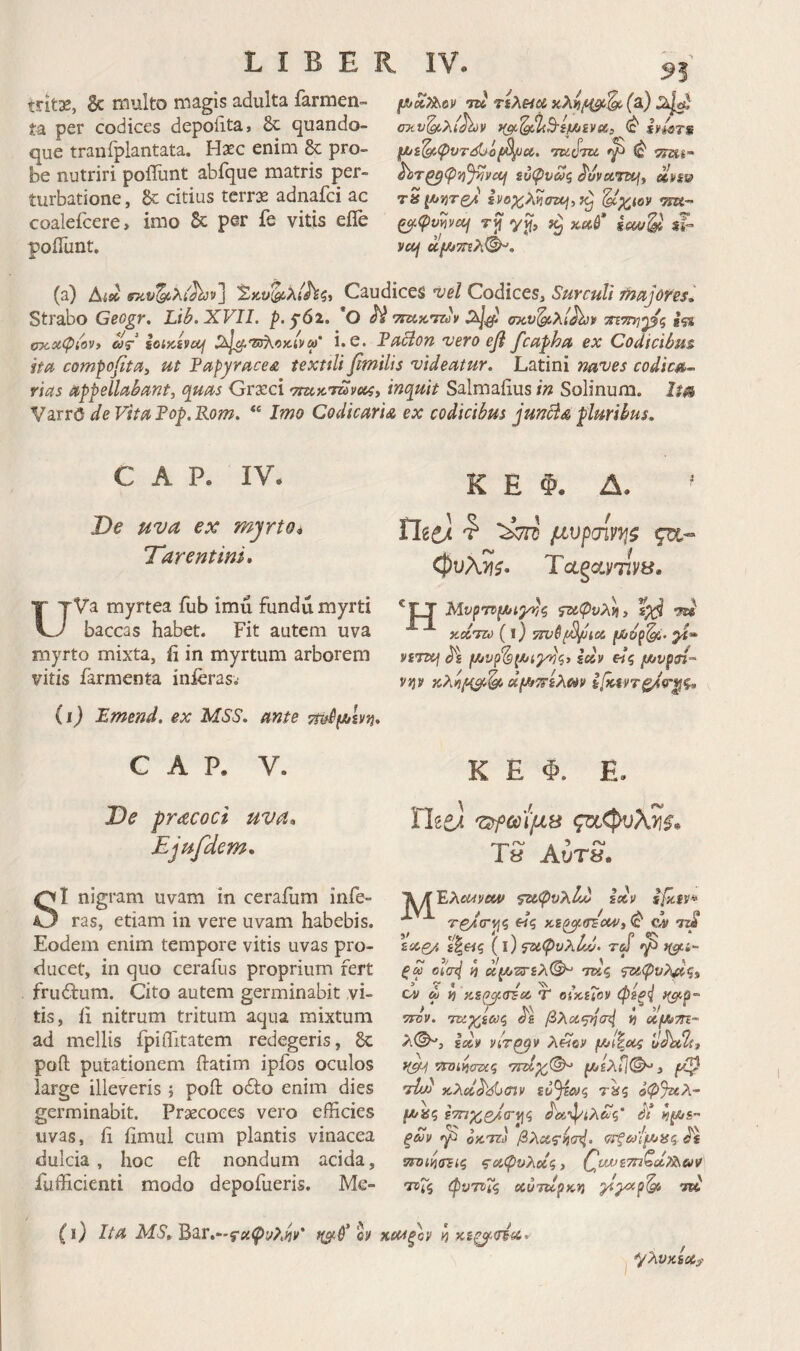 tritse, & multo magis adulta farmen- ta per codices depoiita, 6c quando¬ que traniplantata. Hxc enim 8c pro¬ be nutriri poiTunt abfque matris per¬ turbatione , & citius terrae adnafci ac coalefcere, imo & per fe vitis efle poiTunt. 93 ραλίιοί' 7Ϊ4 ηλϋίφ (a) σχν'^λί^ύν ^ svwrs tuJtic ^ φ 552*«- ίυψνας ^uvunx^y m%\i tS ho%>^tnv^y 7^ ^^tov WEt- ζ^φν^να^ Tjf yj, »eti* sT- y«/ ufJtiTnh^, (a) Δίίύ Caudices 'vel Codices, Surculi tnujofes, Strabo Geogr, Lib.XVII. p.^6i. *0 ^ ΤΐΖίΚ'ΤΖύ» σκν'^λί^ν f5S σκχψίον> soiKivuf ^2^|^'Ζ5λοκ/ν«* i.e. Fablon vero εβ fcupha ex Codicibut 'itu compofitUy ut Papyrace£ textili fmilis videatur. Latini naves codica^ rias appellabant, quas Graeci 'τηχχ^νοίς, inquit Salmaiius in Solinum. Im Varr0 de VitaFop.Rom. “ Imo Codicaria ex codicibus jmSia -pluribus. C A P. IV. Oe uva ex myrto* Tarentini* UVa myrtea fub imu fundu myrti baccas habet. Fit autem uva myrto mixta, ii in myrtum arborem vitis farmenta inieras. (ij Emend. ex MSS. ante C A P. V. Oe pracoci uva* Ejufdem* SI nigram uvam in cerafum infe¬ ras, etiam in vere uvam habebis. Eodem enim tempore vitis uvas pro¬ ducet, in quo cerafus proprium fert friuSlum. Cito autem germinabit vi¬ tis, li nitrum tritum aqua mixtum ad mellis fpiiTitatem redegeris, 8c poft putationem ftatim ipfos oculos large illeveris j poft odio enim dies germinabit. Praecoces vero efficies uvas, ii iimul cum plantis vinacea dulcia, hoc eft nondum acida, fufficienti modo depofueris. Me- K E Φ. Δ. ried ■? μνρσίν^ι^ φυλ^ί* TotgctvTiyy. Mvp'n>fAuyT^i ίζ(,φνλ)ΐ3 sp^ W xiSTzy ( i) pf- vsTZtj idv fjovpn· yijsf dffiTriXm» 6(χ4ντξ/(9·^ς* K E Φ. E. rieei 'Ζ^ύύί'μβ ςΰί<Ρυλ>ι^* <τ-. ~ 4 5 Ta Αυτ«. FXcuvew ΤΆφυλίώ ixi/ τζ/σ-νς Ηζ κΐΡασΈχν, Φ ύ nS >' r/y ‘/ \ ^ f t Γ ^ * ^'Χζ/. ίξ«ς (i; ΐαψνλί/Μ· τω γ >(^ί- ξω ol'ad b χ^ζΓίλ^ 'Τΐίζ <3ΖΛφυ?^ζ* ’‘r« cv ω i) }tsp_^(rsx T oiKUov ψ2ξ^ ττάν. cJg βλχφΐσ^ J) xfAim·’ λ(^, ixi/ viT^v λπον uhxli, f(Cf^ iirzJifJiW? '7nlp(d^ |Λ£λ<]©-, 'dd χλΰί$'<^^ΰϊν τ»ς οφ%ίλ- ΙΛ/}£ζ ετπρρο/ΐΓ^ς Λίψίλ&ς’ ξαν οκνίύ βλχζ'^σ^. <}Τξω'ίμαζ νη>ινΐ(Γζίζ ςαφυλοίζ, QvuuiTnQclTisaO' 5γτΓ5 φυτνΐς αύτιίρκιΐί “ϊ» (ι) Ita Αί5’» Bar.-'f;<^yΛ^^'* ον %α4ξον ^/λνΚίΧ;?