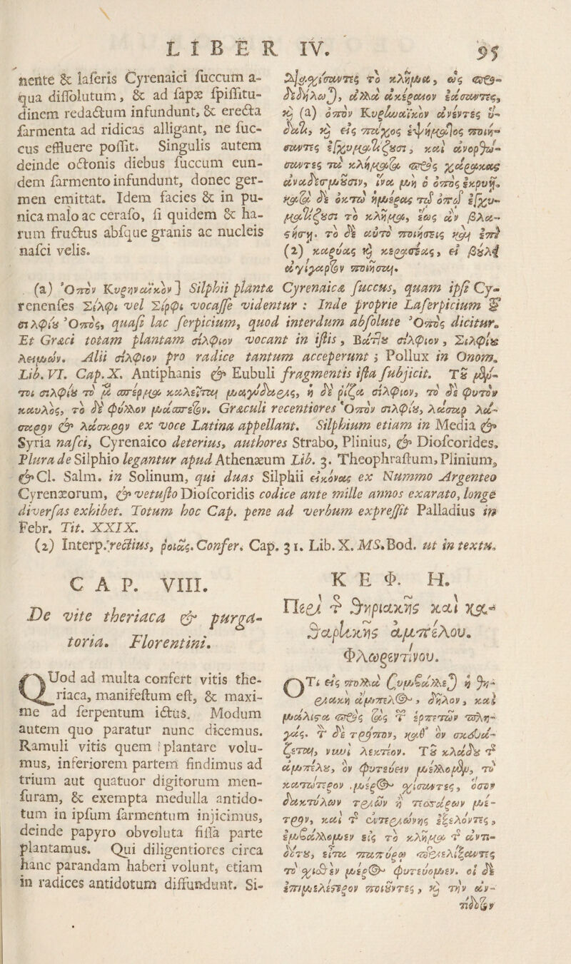 Jtiente 8c laferis Cyrenaici fucciim a- qua aiiTolutum, ad fapse fpiffitu- dinem redadum infundunt, 8c ereita jfarmenta ad ridicas alligant, ne fuc- cus effluere poffit. Singulis autem deinde oftonis diebus fuccum eun¬ dem farmento infundunt, donec ger¬ men ernittat. Idem facies & in pu- nica malo ac cerafo, fi quidem & ha¬ rum fruflus abfque granis ac nucleis nafci velis. to ας οίχίξοΜον ίχσζαιττς^ ^ (a) OTTOV Κ,νξΙΐΛ/χΥκον UVSVTSq W-» «ς Tfciy/ic, 1[χνμΰ/,ΐΛζίί(η ^ y.aX clvo^%I-> ίπΜΤίζ m' <Ζ<τζ3ζ civoc^VfA/isaiv, ivoc f/jtj o οττοζ ofCTu HfA/sfiOi TzS εβ^ν- μ^.ζ'ασί το κλ?^, s»? «V /SAci» ro de «wr» τπίΐ-ήσΈιζ yjuf ετη καξυχζ ^ κε^^οτίίές, η βίίλ4 dyiQ^p^v 7ΓϋίησζΛ\* (a) ’Οττον Κνξ·ήνύά'κον~}ι Silphii pUntA Cyremic& fuccus, qmm ΐρβ Cj<- renenfes 'Ζίλφί vel Σίρψί vocajfe videntur : Inde proprie Laferpicium ^ ΰίλφί'^ ’Οττνζ, quafi lac ferpiciumj quod interdum abfolute dicitur e. Et Graci totam plantam ήλφίον vocant in iflis, Βκτ?» σιλφιον, Σιλψίΐέ A«]W/iyy. yllii ΰίλφιον pro radice tantum acceperunt j Pollux in Onom. Lib. VI. Cap.X, Antiphanis ^ Eubuli fragmentis ifla fubjicit. tS TPi σιλφίϋ TD μ αστίρ^^μ κα,λεΐη^ μ/ΐ^γυ^£/.ς^ b JV ρίζα, σίλψιον, το J'§ Η,αυλοζί 70 Λ' φυ^^ον μοίοστε^ν. Graculi recentiores ^Οτταν aiXCpiiSy λοίσταρ uzi^y ό* λοίσχ^ρ ex voce Latina appellant. Silphium etiam in Media ^ Syria nafci, Cyrenaico deterius» authores Strabo, Plinius, Diofcorides, Tlura de Silphio legantur apud Aih.tnxum Lib. 3. Theophrailum, Plinium^ C^^Cl. Salm. in Solinum, qui duas Silphii ΗκόνίΑς ex Nummo Argenteo Cyrenxorum, ό* Diofcoridis codice ante mille annos exarato, longe diverfas exhibet. Totum hoc Gap. pene ad verbum exprejjit Palladius in Febr. Tit. XXIX. (2) Interp.'r^c7iii/, poidi^Confer* Cap. 31, Lib.X.M5.Bod. ut intextu^ GAP. VIII. De vite theriaca ^ furget· torta, Florentini, ^Uod ad multa confert vitis the- ^riaca, manifeftum eft, gc maxi¬ me ad ferpentum idius. Modum autem quo paratur nunc dicemus. Ramuli vitis quem plantare volu¬ mus, inferiorem partem findimus ad trium aut quatuor digitorum men- furam, exempta medulla antido¬ tum in ipfum farmentum injicimus, deinde papyro obvoluta hiTa. parte plantamus. Qui diligentiores circa hanc parandam haberi volunt, etiam in radices antidotum diffundunt. Si- K E Φ. H. T* xa] ίμ^ίλου, ΦλωξίνΎΐνου. «ζ •mthdi b Q/.axYi οίμίτηλ©^ ) ^ίίλον, κοίΐ μχλίζ-ίΧ, (^Τζβζ ψ spTTeTay Τ3$\?3·” ^ζ· Τ Α τ^ττΒΡ, 1(^.6 ον axSiliC·' ζετζι^» νια>ί λεχτίον. Τ9 κ,λοί^α Ά cif/jmXu, ον ψυτευ^ίν τ» _ / / Ι tf χΰί'τζύΤίξον .(Μίξ'^ ^ΐ(πχ4ΐτεζ, οσνν ^χτνλίΰν tq/Mv 'ή τΐοτΰίξοιν μΐ- 7^ν, xul 'Ρ οντεζ/,ίύν^ζ ί^&λόντες, $ίζ το αντί- olris, εΐηχ τια,ι^ύξω ^ζ^ςαελί^αίΐτΐζ το ψυτΐυομεν. ci ίτπμελίτεξον την dv-