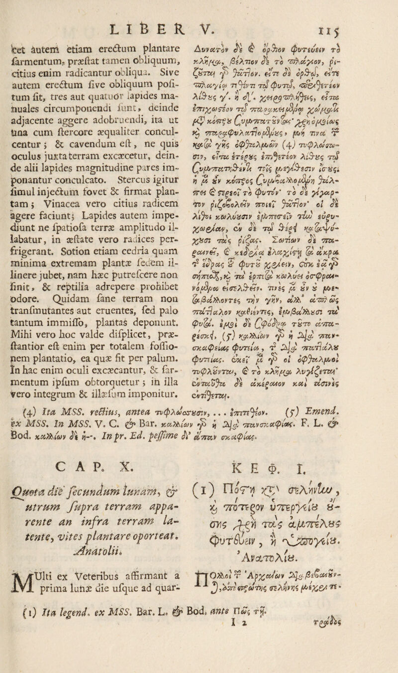 iCet 4utem etiam eredum plantare iarmentumj prxftat tamen obliquum, citius enim radicantur obliqua. Sive autem eredum iive obliquum ροβ- tum fit, tres aut quatuor lapides ma¬ nuales circumponendi lunt, deinde adjacente aggere adobruendi, ita ut nna cum ilercore aequaliter concul¬ centur j cavendum eft, ne quis oculus juxta terram excaecetur, dein¬ de alii lapides magnitudine pares im¬ ponantur conculcato. Stercus igitur limul injedum fovet & firmat plan¬ tam ; Vinacea vero citius radicem agere faciuntj Lapides autem impe¬ diunt ne fpatiofa terrs amplitudo il¬ labatur, in aeftate vero radices per¬ frigerant. Sotion etiam cedria quam minima extremam plantse iedem il¬ linere jubet, nam hsec putrefcere non finit. & reptilia adrepere prohibet odore. Quidam fane terram non tranfmutantes aut eruentes, fed palo tantum immiflb, plantas deponunt. Mihi vero lioc valde difplicet, prae- ftantior eft enim per totalem foftio- nem plantatio, ea qux fit per palum, ϊη hac enim oculi excxcantur, & far- mentum ipfum obtorquetur 5 ih illa vero integrum 6c illxfiim imponitur. ΪΪ 5 Δι/νίίτύΐ' ^ epSioy (pUTsc/SiP τα βίλτίον το TThcly^ov, ρί~ ^£τΙόν. ά'τΐ Ji ορ^(Ι> βτί Τΐ^νττ Tt^φνττβ^ y. i) 0^^. (ίτζΛ Ιτηγ^ωΉον ttS τπχ,ρ^φνλΆτΙοβ^ας^ /K/q Ttvcc. Ψ γίίς οφ%ίλμίων (^) τνφλάατύ’* &ΐν, frtTu ζτίξϋζ Ιττ/^τίον λίΒ-ας τΐβ ττΓς (/^zyiBscnv Ι'σΉζ» ΐ) β ύν κό^οζ Ου^^ζα^οβ^τ^ %ίλ· 5Γ« (Β ^^ξίοΤΤΟ ψυτον' το γί^^κ,ρ· ΪΓον ριζοζολ^ν ΤΓΌΐεΐ J^riov' οι λ'ι%ι κ’ΐύλυ^σζν ε^τητεΐν τίω ευξυ- χοίζ/αν, ci TZif B^εξi χϋσι τΐίζ ρίζύ^' Σ&ιτί&ρ ^ε Pcup^, κε^ρ/ία ίλοοχίς-ΐ^ ^ ΛκρΛ Ο ^^ Τ/’ JL ^ ^ ^ /V τ ψντ^ οτκ 'Tti ερτη'^ ocrPpeu·· νόβ/joi ε^(!ΈλΒ<ΗΡ> τινεζ β ύν i ffyt- ^/3ί4^οντ£ς την γην, οοτι^&ίς ττοί^ϋλον >($ι^ιεντΐς, ε^Χ/βοοΡλαΰζ m' ψν^. Ιμ^Ι ^2 φ tQtv csTTa- ξεσχ<1, (f) y^^iivv ^ η Tmv* σκαφείΰος φυτεία , ττατϊαλα φυτΐΙοίς. ό%εΓ β ^ οι οφ%(,λ(λ)θίϊ τνφλ^νττα, (ε* το λυβζεττ^' cvTtiZJto ^ε άκίξοαον καΐ ζίζηνεζ C4/77^T5Cf. (4) ΙίΛ MSS. rsBius^ antea 7νφλύί<χτίίσ:ν,... ετητΐ^ον. (f) Emend. ix MSS, In MSS, V. C. ^ Bar. κ,οοτχίων ^ τπχ,νίτκ,αφίοΗ· F. L. 0* Bod. K^yXiuv <5-*. In pr, Ed. pe0we ρίτταν σκ.αφίοοζ. C A Κ X. Omta dii fecundum iunahi^ ^ utrum fupra terram appa^ rente an infra terram la’~ tente·) vites plantare oporteat* jinatoUii K E Φ. I, (l) rioVv) yf^ aiAmtcu) ^ 'ΤΓΌ'ΠζΟν WTT^pyfAS 8- ΰΐΐζ φυτίυ^ιΐ' 5 yj ^ApctTOXiti. Ο?λοι T 'Αρχοαων ^^^βίζοα^ν· σΈληνηζ (Λ>ίχ6/'^' Multi ex Veteribus affirmant a prima lunae die ufque ad quar- (i) Ita legend, ex AISS, Bar. L. Φ Bod, ante Πως r^. 1 ^