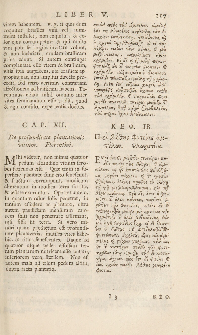 Vitem habentem, v. g. li quis dum coquitur braflica vini vel mini¬ mum inilillet, non coquitur, 8c co¬ lor ejus corrumpetur: 6c qui multo vini potu fe largius invitare volunt, & non inebriari, crudam brafficam prius edunt. Si autem contingat complantata eiTe vitem brafficam, vitis ipfa augefcens, ubi brafficae ap¬ propinquat, non amplius diredte pro¬ cedit, fed retro vertitur, contrariam affedtionem ad brafficam habens. Ta¬ rentinus etiam nihil omnino inter vites feminandum effe tradit, quod ego confulo, experientia dodlus. oikL·) 'duj αμ^ΤΓΐλαν. Τις olva l- im-^SKcc(r^, ^τί ί'^ετΐ^, βί β8- λr}f^^Vϋi 5Τ0λϋν OiVoV THPeiVi (θ' fjul} Ei 'Ζίτζ^τίτ- ψντεΐί^ c/ti y 'ΖΒ^ί](τίον <Af/j7nXov τί^,μ^βία/, uC^ci4/o/LOsvt} i) αμ^ττΐλος* iTnthiv r jj /Sif, έτκίΤϊ izr εό^ίαζ οίν%'7ΓΆ%<^ %χ^Ηατΐύ (sstsq tLu Άξ^ίμ^βίνρ. Τα^ρτΐνόζ φν^σι ^ο·ή^ν τΐΐίντΐλωζ σχτείξϋν Ύ ocf/jTTiXojVi ors^ QvyjQaXiuU}, tL·) ττΗξον \χ,ων ^J):caxciXov. C A Ρ. XIL De profunditate plantationis vitium, Florentini. Mihi videtur, non minus quatuor pedum altitudine vitium fero- bes faciendas efle. Quge enim in fu- perficie plantatas funt cito fenefeunt, Sc frudtum corrumpunt, modicum alimentum in modica terra fortitas, δΐ aeftate exuruntur. Oportet autem, in quantum calor folis penetrat, in tantum effodere ac plantare, ultra autem praedidtam menfuram calo¬ rem folis non penetrare affirmant, nili fiffa fit terra. Si vero mi¬ nori quam prsedidfum efl: profundi¬ tate plantaveris, inutiles vites habe¬ bis, & citius fenefeentes. Itaque ad quatuor ufque pedes effoflam ter¬ ram plantarum nutricem effe putato, inferiorem vero, fferilem. Non eft autem mala ad trium pedum altitu- diuem fadla plantatio. K E Φ. IB. YliO- φυτίίχζ 'TVeAcev. Ι;^Μ(3ι Χκ.ε'ί, μ)·ή κτίον sttj- αωρ τΐΌίΗΡ τέίς βο,τρας τ cc^t- τ^ελων. di ετηττυΧΰάω^ φνΙόί/^Τ σζμ γηξ£<η ττίχ^ίον, τ >(^ρτΰν φ^ϋξΒίΠρ, ΰλίγτ}ζ τ^φΐίς ον oXiy^ 7ρ [Λε'^λαμ/βϋίν^(Tdj , ^ tw Βεξα KdJovTztj. Χξα <^g, οατίν ^ (ΜΰΤΡίζ y v)Xiis Kdr&iOi, 'τνσ'ΒτΌν ό- ξοτ1ε<ν (pvTi0c~iVf 'isxiov ^ μιετξίί μρ) tjjV 5?/3(//077j^ y tjXiii βεζα4^ντι>ίή, Idv μ-η « pdg/>i0d<i « όε ελΆτ- ήον βχΒ-^ζ tS €^^ΐίΧω%*ΐ<^ φυτευοΈία^, «ν^^ίς-ίίς ί|«ς τεί'ς ««/λ- ^εΧϋζιί^ ψχ.'χ,ιον '/ν^ξίοσνίζ. τώκ/ £ώίς ^ ^ Λ αν τ τεο^'ο,ξων ττοαων yt^v ψυττ- τ^φ^ν είνοή νϋμιίζε> iFjj ^ε KcC'7Zti~ 7Έξ&), dpvov. croc ετί ^ε ψαυΧν) £ώ»ς τζ/.ύύν βεί^α<^ ^νομνίνΗ φνττίΰί.