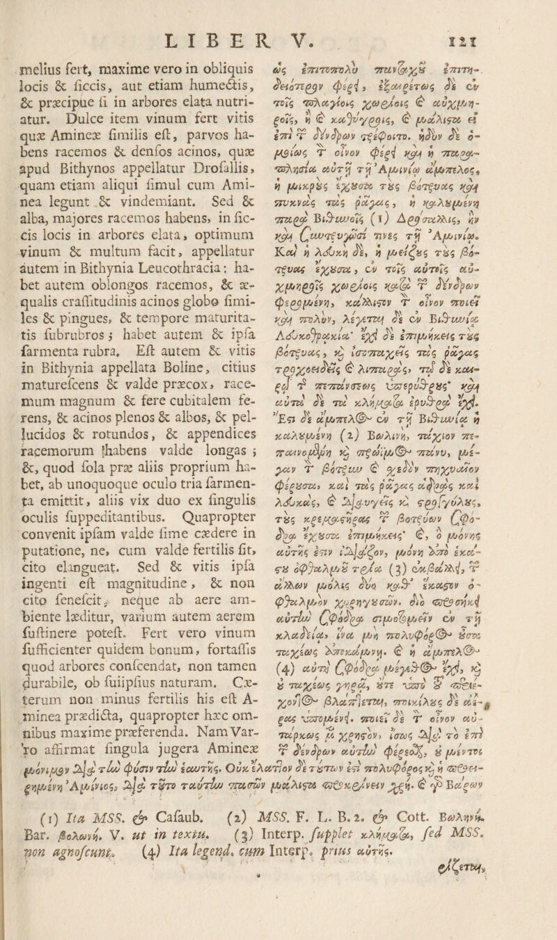 melius fert, maxime vero in obliquis locis ficcis, aut etiam humei^is, Sc prxcipue ii in arbores elata nutri¬ atur. Dulce item vinum fert vitis qu3e Aminex fimilis eil, parvos ha¬ bens racemos δί. denfos acinos, quse apud Bithynos appellatur Drofallis, quam etiam aliqui iimul cum Ami- nea legunt 6c vindemiant. Sed alba, majores racemos habens, in hc- cis locis in arbores elata, optimum vinum 6c multum facit, appellatur autem in Bithynia Leucothracia; ha¬ bet autem oblongos racemos, & ae¬ qualis craiTitudinis acinos globo iimi- les & pingues, & tempore maturita¬ tis iubrubros ,· habet autem 8c ipfa farmenta rubra. Eil autem 6c vitis in Bithynia appellata Bolinc, citius maturefcens valde prsecox» race¬ mum magnum 6c fere cubitalem fe¬ rens, & acinos plenos 8c albos, δζ pel¬ lucidos rotundos, appendices racemorum fhabens valde longas ; quod fola prae aliis proprium ha¬ bet, ab unoquoque oculo tria iarmen- ta emittit, aliis vix duo ex fmgulis oculis fuppeditantibus. Quapropter convenit ipfam valde iime caedere in putatione, ne, cum valde fertilis fit, cito elangueat. Sed 6c vitis ipfa ingenti eft magnitudine, 8c non cito fenefcit, neque ab aere am¬ biente laeditur, varium autem aerem fuftinere potefl. Fert vero vinum fufficienter quidem bonum, fortaifis quod arbores confeendat, non tamen durabile, ob fuiipfius naturam. Cx- terum non minus fertilis his eft A- minea prxdibla, quapropter haec om¬ nibus maxime praeferenda. Nam Var¬ ro affirmat ilngula jugera Amine^ (Jtiovi/^v φϋίΠντίΜ scu/τκζ. OuksXutJov Ιςι ττΏλνφόξοζτ^ vi /zs&h- τ^το ταόττί/Μ ^ (ι) Ita MSS. ό* Caiaub. (2) MSS. F. L. Β. 2. Cott. Bar. βολανίί. V. ut in textu. (3) fupplet fed MSS. non agnofemto (4) Ita legend. €um Interp. ^nm etiJr??. ' '' «y? Ιτητη--. ^etoTt^v φίξi) ί^ΰθ(ξίτ6>ς cv 'τνΐς ^ ξοΐζ, If ^ (c' « i777 Ύ τξίφοίΤΌ. A 0- T οίνον φίξ4 vj obvT^ T^^AfJtJivia) (^μιττΐλος^ *) μ^ίχ.ρ^ζ τίίζ βύ'Τξυα(^ ττνκ,ναζ tw? ρόί^ζ, jJ ^^ι,λϋ^ίνη BiB'iWo7i (1) Α^'στχ,Χ^ίς, Pty QtW‘Ttvy^<n ηνες τί} ^Αμ>ίν{ψ. Kay V) AdOjti) d^i, i μ^ε-ίζϋζ TS5 /Sa- 'Τξνχζ ίχαοτζ, οί> τοΤζ αντνΐς «ϋ- χμινι^Τζ χωζ/οίζ τ φί^μ/ivtji Τ οίνον τινίΗ y^ 5Τδλϋ!', ον BiB‘iwi's& Adi/y.oJpiXKla <^1 ετημι^κ^ς τ'^ς βότξνχζ, ΐο ίστττειχ^ζ ικζ ρόο^ς, Τ^χθΐ4^Ης ^iTlSCp^ii Ίτΐ ViOA- ξοί d 7n7mv^0)c^ \}ζί^ξρΰΒ·ξαζ' y^ ciuTU ί^^ Tot Ιρν^ρβ dv rji Βί^ανίίΖ 4 yaXyyAvn (i) BovXiVu, ΊτΙχίον τη^ ^Μνοβρν'ή '7Γξάϊ(νν(^ TTtivVt [λ>ί~ ^ν Τ βότξι/Μ ^ε^ν νη^χυΜον φεξασζύ> κα] τκς pdyxe^ «««* λίίΟκαζ, <c' ^ίφ^-νγ^ς tu 'ο^ί'/υλας, τ«5 τ βοτξόων (φφό~ %X^cn>'^ ετημ/^κ,^Ηζ’ (^, ο μοόνήζ ίίϋτί5ξ ετίν ίίλΙ^Ιξον, fJljOVTi lx.CC” f» οψ^Άλμ^^ T^dse (3) ο%βεί)Χ^3 Ύ u!>Xetiv (//όλις Λ/ο εκ,οί^ν ο- φ%ίλμΛν χοξη^ααζύν. Λο uvtiui) (r.ujo%^iHV ον κλχ^ίιΧ} tvci νττλνφόξ©^ ύσΊ% τζύχίούς Χ^κοΙμ/ν^^. ^ 4 αμ>7ηλ®-* (4) t τζίχεΰύζ dn 'zdhd- χον[©^ βλα,τίίετίμ^ νηακιλίίζ ^ε ξοις χζϊΧ)μ>εν\, ντοίεΐ dl Τ οίνον οίο- τκρκως (λ χξνιςον, ίσαζ το ε^ ^εν^ρων ΛυτΙυΡ φεξε^, ύ fjoivroi