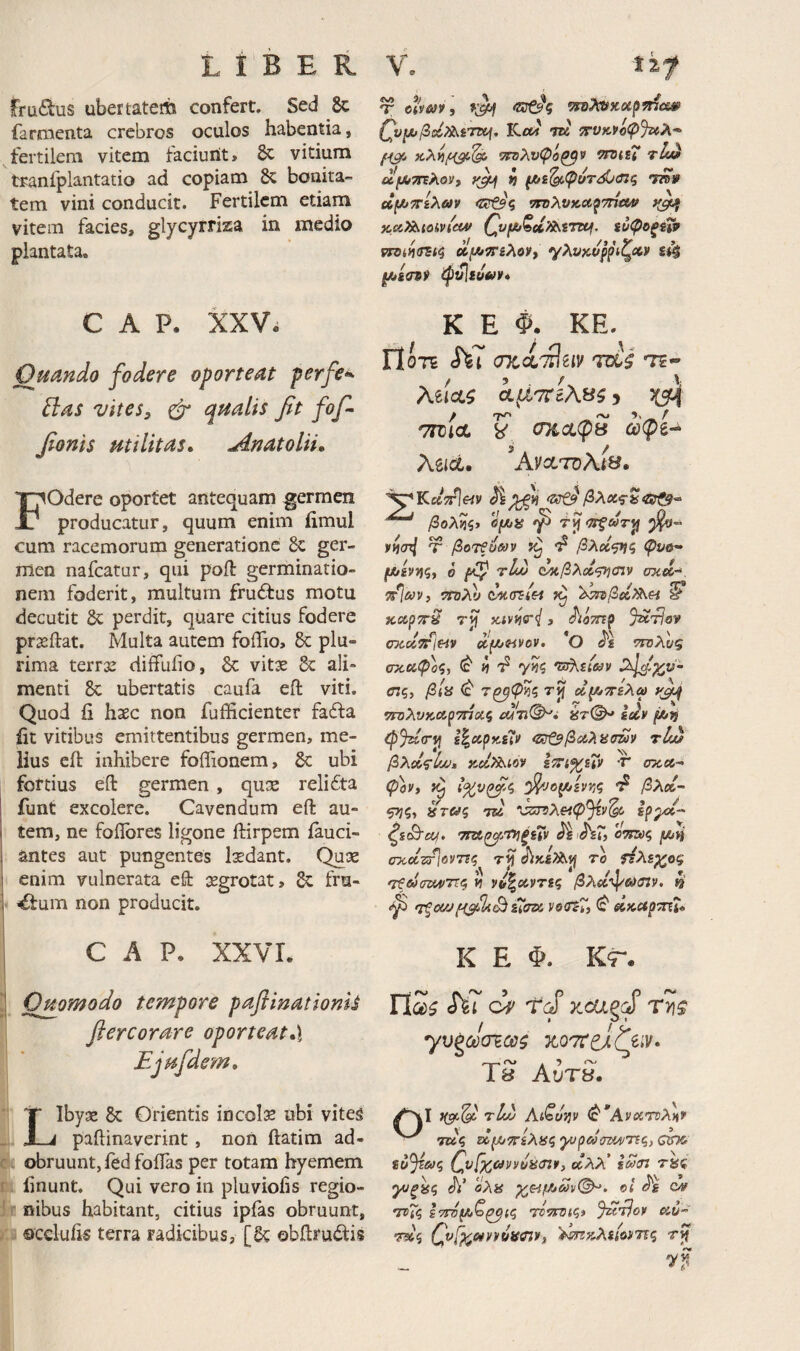 frafitus ubertatem confert. Sed 8c farmienta crebros oculos habentia, ^fertilem vitena faciurtt> & vitium traniplantatio ad copiam bonita¬ tem vini conducit. Fertilem etiam vitem facies, glycyrriza in medio plantata. C A P. XXV· Ouando fodere oporteat perfe^ ftas vltes^ ^ qualis fit fofi- fionis utilitas, ^mtolii. Fodere oportet antequam germen producatur, quum enim iimul cum racemorum generatione ger¬ men nafeatur, qui poil germinatio¬ nem foderit, multum fru6tus motu decutit 8c perdit, quare citius fodere prasftat. Multa autem foifio, 6c plu¬ rima terr32 diffufio, & vit^ 8c ali¬ menti 8c ubertatis caufa eft viti. Quod fi haec non fufficienter faita fit vitibus emittentibus germen, me¬ lius eit inhibere foflionem, 5c ubi fortius eft germen, quae reli£ta funt excolere. Cavendum eft au¬ tem, ne foflbres ligone ftirpem iauci- antes aut pungentes Ixdant. Quse enim vulnerata eft aegrotat, fru¬ dum non producit. C A P. XXVL j Ouomodo tempore paflinationis ftercorare oporteat,), ■· ' Ejufidem, Libyae Sc Orientis incolis ubi viteg paftinaverint, non ftatim ad- . obruunt, fed foifas per totam hyemem finunt. Qui vero in pluviofis regio¬ nibus habitant, citius ipfas obruunt, occlufis terra radicibus, [& obftrudiis T βίί'ΛΊ' ϊ VfO?(iiKUp^CS4i> QvIXjILcU TK 7Γνκν0φ%ίλ-^ ^ ^λνφό^ν tIu* yJ/Lj fi fJb£^φυτόU<nς 'm» <Ztn£95 ’τη'Κυ^,Λ^τή&Μ y^ ^s<rs9 ip^suiiiv* K E Φ. KE. ΓϊότΕ iu cncd^eiv mi τε·* Aeicti ^ τΐΌΐΛ V ο%χφΒ ωφί^ Xiict, Ανα,τϋλί». KciTrleiy 'STf?'/3λίί?·» βQλvιζy dfjua τί} <7τςωτ^ 5^- fii(r^ Τ βοτξύαν βλχφίζ φυ&- (Λίννις, ο τΙμ (Μβλΰί^σιν σχά·* τΐΌλυ Μ-σΐίΗ ^ χ,α,ρτΓ-ΰ τγ x,ivw<i, ^ίοτηρ axcly^ieiv Λμ>^νον. *0 ττολυς σχο(,φ'οζ, f) rp γίίς ·ΰ^ζΐων <ης, βία (c' τζβφ>ίζ τί} οΐ^ττίλω yjq τπίλνκ,Λρτπαζ άτ(^ id» fJttfj (p%i(r^ i\o!,py{t» αιζ^βΰίλασα» τίίΰ βλΰΐ^ίαι, Kdxt^icv 2:Τί^ίΓν ’Τ* σκβί- ψον» >9 ^ βλοί- 5??ς, ατ6/ζ 7®ί ‘ΰ:73λ«^3^ΐ'^ ερρ^^- ζί^α^. ο^ζύς f/zii οχοίζι^οντΐζ το τίλεχος 'ΐξωσζΜίττζ « »ύ%ο(,νης βλοΐ'^β^ίη». 4' T%0(/J£tvt& νΟβϊΓ, ^ dKCtpTTti, K E Φ. Κτ. Πωζ <Γέ{ ci' 'fd y^ca^d Τνι$ yv^cJa^ce^ 18 Αυτβ. I }(gi^ τΐώ AiCyJjv (^ΑνιχτηλΗ» τκς ζΐμ^^^ίλαςγυρούίηί^τις,οίκ ΐύ^&>ζ C,v[x,avyuain», ΰλλ' iStn rai γΐξαζ Λ’ ολα ©< ον ΤΗζ ΙτΓΌ^ζ^ίζ τή'Τίνίζί Ju^pov etiJ- Qvfpt^uyyoaffl»» ’^^τζχλίίοίΤϊζ