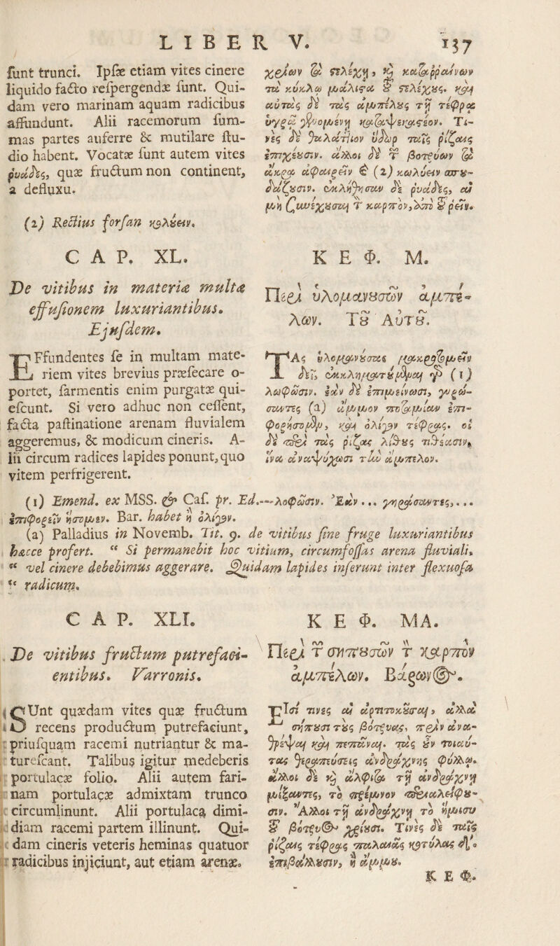 funt trunci. ΙρΓχ etiam vites cinere liquido fadto reipergend;E funt. Qui¬ dam vero marinam aquam radicibus afilindunt. Alii racemorum fura- mas partes auferre Se mutilare ftu- dio habent. Vocatae funt autem vites quse frudum non continent, a defluxu. (i) ReBius forfan y^λύ^ι/, W κόκλύϋ μ/ίχ,λιψΰί y 5Τλ£;κ«ς. Άυτκζ ai ΊΖύζ ufJUTriAUi τγ τίφρ/χ υγξ^ Τί- ν\ζ A' %ίλοίτίιον uJhp τζϋΓζ ρίζΰί^ζ ccX^o( JV τ βοτζοΜν ^ ΰίφα4ξΗν ^ {ΐ) κ,ΰύλυ&ίν ασπέ- (^xif)v,ow) pvdhq, cu QwiZHirwi Τ καρ^τόν,^ ^ρ«». C Α Ρ. XL. Κ Ε Φ. Μ. J)e vitibus in materU multes ^Jf^fionem luxuriantibus» Ejufdem» EFfundentes fe in multam mate¬ riem vites brevius praeiecare o- portet, farmentis enim purgatae qui- efeunt. Si vero adhuc non ceflent, fada paflinatione arenam fluvialem aggeremus, Sc modicum cineris. A- iii circum radices lapides ponunt, quo vitem perfrigerent. Dedi υΧομανπσζύ^ i/X7rg* λα^ν. TS AvtS, ΤΑζ hXo/ii^visanis Ar> ΰ1κκλ})/<^τίί(&φα/ (i} Χίιίψασίν. JV ίτπρυζίνωζπ, γ/ξά- στΜΤίο, (a) d'f//tuov TTO^f/Jico) Ιτη- ψοξ-ήσνβ^, oXrj^v τίφ^ς. oi JV <23^' τΕίζ ρίζοίζ λίΒ-ας ^ΒίΰίδίΡί,, ./ , 1 / / ' Λ ivec, tU/^ Λξ/^τηλον* (ι) Emend, ex MSS. Caf. pr. Ed.—λοφω<η». ^Εκν,,, yyj^crsMTSq}... ίτπψοξζΐν YiOTfjiJiv· Bar. ha6et »i ολί^βν· (a) Palladius in Novemb. Tii. 9. de 'vitihtu βηβ fruge luxuriantibus h&cce profert. “ Si permanebit hoc 'vitium, circumfojfas arena fluviali* vel cinere debebimus agger ars. Quidam lapides inferunt inter flexuofa l* radicuin,. C A P. XLL K E Φ. MA. \ #\Λ JOe vitibus fruEium putrefaei^ ' TliCj. τ o}i'7tscro)V τ entibus» Varronis» ΙιμτιτίΧωΊ» Bag(5t>y@^. (QUnt quaedam vites quae frudum tO recens produdum. putrefaciunt, : priufquam racemi iiutriantur Sc ma- . turefeant. Talibus igitur medeberis i portulaca folio. Alii autem fari- ; nam portulacae admixtam trunco circumlinunt. Alii portulaca dimi- i.: diam racemi partem illinunt. Qui- dam cineris veteris heminas quatuor 3Γ radicibus injiciunt, aut etiam arenae* pW 72)/S5 tu dpumx.^crccf t cl>xd σ^τΓϋίΠταζ βό^ξυαίζ, Tredvclvet.· yffjj TWTmvuj. τβς ύν Tviuv- reii ^ρρί5Τϊί/<ΓΕ(ς <Λν^^χ,ν^ζ φϋ?λ^. Js α>λφί% rji To αι^χλΐΐφΐί’· mv. rji το v^^tav ^ βοτξνΐ^ Tivh M ρίζοοίζ τεφζ^ζ 'τταλίΜΰίζ i^rvXccs dl e E φ. s )