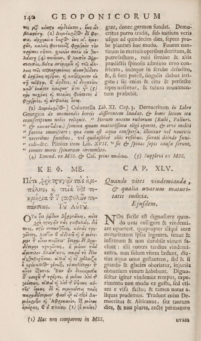 ϊ4^ 9ίς ^ ν,ί^πζΜ e^h,uii<r.v , 1^$ αν βλίίφ{σ·9ΐ. (3.) Αν(^0Άζ/1^ ^ <P>J- SFilf, ϊοίξΦ^ ξ&)ς li. ξω^, κ,Λλωζ φυτεύί^ cp^jffjuov το» rarcv. ^oiViov csrn^y c4» %c·· λχατ^ (4) 7fO'j/neiiO»i λοιττο» ^ατ^ττοζ) βοΙτα σ^ί^(-{οβι τοΤζ αλ- λβΐξ τοΤζ <ΐ!^ζ?&{ξν(Αίνοίζ oiKCUf^ohtrt ^ ο^βοίζ τξ/·^αν, κ,α^ίχ,ωίτον ci τ^ TZ^VPi^» ^ CipJVfSj £<’ JVv^TOV» »ί5ΐ5·’ ίκαίψκν ί^μ>ίξ0Μ' ^τω ^ (^f) TU^iOjq τζ 7Έλίί&>ζ φνίίσΈτεί^ ο (ppj,[^^oc,y οίσ-φχλίίς gant, donec germen fundat’ Demo» critus porro tradit, fub initium veris ufque ad quindecim dies, fepem pro¬ be plantari hoc modo. Funem nau¬ ticum in marinis operibus detritum, 8c putrefadlum, rubi femine & aliis prsediftis ipinoiis admixto ervo con¬ fricato, indeque in icrobe defodito, 6c, fi fieri poteft, fngulis diebus irri¬ gato i iic enim 6c cito 6c perie6i:e lepes nafcetur, 6c tutum niunimen- tum prsebebit. (a) Δ35|ΐΛβκ5^1© ] Columella Lib.XI, Cap,·^, Democritum in Libro Georgico de muniendis hortis dijferentem Imdaty iQf* hmc locum ttti tranfcriptum nobis reliquit, ‘‘ Horum autem ruborum (Rubi, Taliuri, ^ ^ κνυυο(τζΰίτα>) femina quam maturijjima eligi oportet, ervi moliti *® farina immifcere : qua cum efi aqua confperfa, illinitur vel nauticis ** veteribus funibus , vel quibufibet aliis refibus, ficcati deinde funi- culi—^c. Plinius item Lib. XVII, ** fc φ fpinas fepis caufa ferunt^ ®‘ tomice moris fpinarum circumlita. (4} Emend. ex MSS. Gaf. ^rius τπα-ήτΰίζ. (f) Supplevi ex MSS„ K E Φ. ME. ΪΙοΎί Ίς^yψ ταΛ λμ- 'TrLXSij pj TTOii Τζ- χμ'ήζνία r r σαφυλων τη- 7ία)/(7ζωζ, Ty Αυτ^. ρ'αΛβρ TioTt τξν'/^ν τοίζ ζ-α,φνλας. Λά ηνες, ^Ιν TnTmvJnvuj, ^ΰτας r^u- ^ι/τΐζ, λίΤΤίΰΡ ^ aojivn a fjooPi- fj^v f olvov 5ϊΤ'<δ’(Γίν* ίτΐ^ί JV β^- Ατΐ^ν τξυγϋνΊπς, 4 {Φθόνον tIw KfJOmXov βλοίτίαίπ, nrst^f το fio» οίχ!}οφοξ4(ταΛ^, dnsd si ^λαζοο « y.vof2, tuTivJi^^v T oiPov ίζϋαηρ, E^v av ^ίχί/^ίΠίβ W κ-οοίξ^ τξογίήζ, 4 fjoovov «2^ ^ίυσεωζί TcXb.» ^ ο\|/ε»ς ccu- τ^ζ* JV (n^fA/eidarsiq τΐίΰίζ ym^^^v[A/sv' φασί ^ et An- fJUoKQ/t^v ’Αφο^χοίνον, t| fjuov^ Φ ^ πλΗίίζ, (l) iJlfJOiAi) GAP. XLV. Otiando vites vindemiandae, Φ* qualia uvarum maturi^ tatis indicia, Ejufdem^ NOn facile efl: dignofcere quan¬ do uvas colligere 8c vindemi¬ are oporteat, quapropter aliqui ante maturitatem ipfas legentes, tenue ^ infirmum 8c qon durabile vinum fa¬ ciunt : alii contra tardius vindemi¬ antes, non foium vitem Iscdunt, diu¬ tius sequo onus geftantem, fed & fi grando 8c glacies oboriatur, injuriis obnoxium vinum fiabebunt, Digno- icitur igitur vindemia ternpuSj expe·^ rimento non ipodo ex guftu, fed eti¬ am e vifu fadto j & tamen notas a- liquas prodemus. Tradunt enim De¬ mocritus & Africanus, fex tantum dies, δζ non plures, re<ite permapers CO non compmnt in MSS, uvam