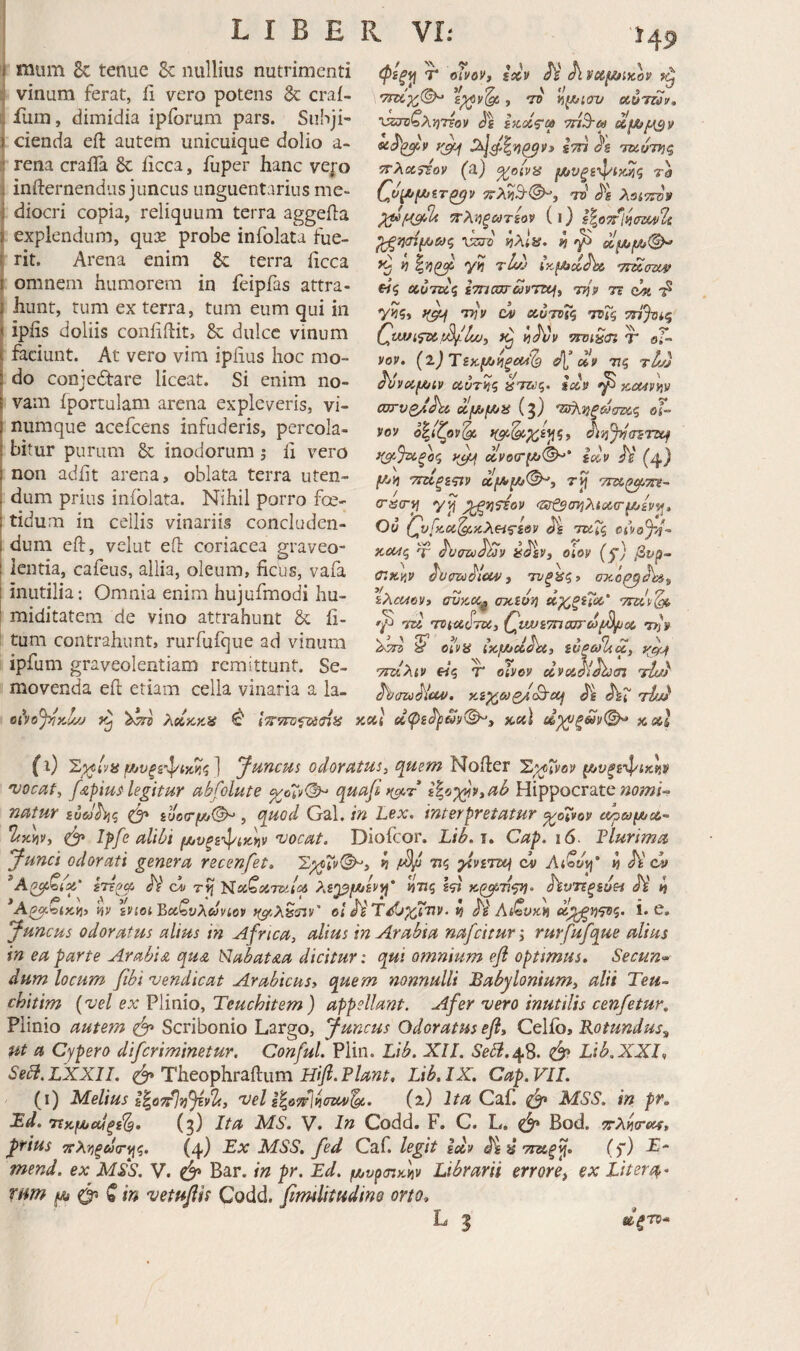 j miim 8c tenue & nullius nutrimenti vinum ferat, ii vero potens & crai- fuin, dimidia ipforum pars. Subji¬ cienda eft autem unicuique dolio a- ί rena cralTa & iicca, fuper hanc vero j infternendus juncus unguentarius me- Idiocri copia, reliquum terra aggeila explendum, qux probe infolata fue¬ rit. Arena enim 8c terra iicca omnem humorem in feipfas attra¬ hunt, tum ex terra, tum eum qui in ipiis doliis conliftit, Se dulce vinum faciunt. At vero vim ipiius hoc mo¬ do conjedtare liceat. Si enim no- t vam fportulam arena expleveris, vi- I numque acefeens infuderis, percola- ! bitur purum & inodorum j ii vero non adiit arena, oblata terra uten¬ dum prius iniblata. Nihil porro foe¬ tidum in cellis vinariis concluden¬ dum eft, velut eft coriacea graveo¬ lentia, cafeus, allia, oleum, ficus, vaia inutilia: Omnia enim hujufmodi hu- I miditatem de vino attrahunt & ii- : tum contrahunt, rurfiifque ad vinum ipfum graveolentiam remittunt. Se¬ movenda eft etiam cella vinaria a la- Τ olvQVy ixv JV _y <7 y <1 5 , ir> n^icrv (Χ,υτζύΐ)» \^^ζλΐ}7τον ίκ.οίζ“χ τπΒ-ω £7n j^s παυτι^ζ ‘^λχτεον (ίΐ) ^οίνα τα ^fiS^ ττλΐΐξ&ιτίον (ι) ΐΧατί ^ί}σ{μ>αζ ίιλίίΐ. 4 >} y? rlvj TTxoujf «ζ «ίΐτας iTncaravnxii τη'ρ τε tyy. ^ nju CV χυτοΤς η>ΐζ τη^νίζ »lJVv ’ΤΤΟίζζη τ οΤ- yop. (ΐ) Τεκ[Λ^ξίΜ% xy 775 rlu) Λ> 5 ~ t/ » < 1 ivxf/iiy αυτιήζ αττιΐζ» %xy ^ xcMvyiv cwvQA^ ufAtfA/H (gj 'εΰλ^ξΰίστας οΤ- voy ο^ίζον^ ihijJyjiTsrziif ^%ίξος χνο(τμί(^' Ιχν (4) yy/i τηΐξζςίν a!y>yi(^, τΓχ^τη- (Γ^σ-ΐή yif^νίΤΈον <?3t3aviXiX(ryjiyy^. C^vfKX^icXei^-iey τκΓζ iCCC4^ ^y oloy is) β^ρ- (Τ,Κ^,ν τνξ^ζ> iXcucVi σνκΧφ oTctun 'jrsci^ TU TOluSlUi {^UViTncUTci^X Ttjy ^ Oiva ixyiclhii ίύξω%χ, y^^jf τΐζίλιν «ς Τ' clvoy χνχ^^σζ τΙιΑ ^(m^cuy, J^g τΐυ) zxl tf6<p£c5]5wv©^, Kxl ύΐ^ξϋΐνφ^ X xl (i) Σχοινά yjv^i-^ΐκ^ζ ] Juncus odoratus, cyiem Nofter ΣχιιΤναν (ύνξε'φιχΙΐΜ 'vocaf, f^pius legitur abfolute ^οΐνφ^ quafi h^ot l^cy^ViUb Hippocrate «0;?»/- natur svalh^iq £ye«r^(^ , epuod Gal, in Lex, interpretatur ^oTvov uoeay/X'· 'loxviVi 0* Ipfo alibi μ,υξε·^ικην 'vocat. Diofeor. Lib,\, Cap. 16 Llurima Junci odorati genera recenfet» Σχοζν^, n χίνετεμ <μ> « Λ' <dy ^Α^ζί'χ' sTT/yx Λ' τ^ Nu^XTuiu λε'χ^μοενν\' «τΐζ Ιν» ^ϊντίξευεα JV 4 *Ai^hixii) ην ενιοιΒχζνλωνιον f(^,xScnv’ οι ^Τ^ί^χΤην. 4 A' Ai^vxti i. e. Juncus odoratus alius in Africa, alius in Arabia nafeitur i rurfufque alius in ea parte Arabia qu& Uabat&a dicitur: qui omnium efi optimus. Secun¬ dum locum fibi vendicat Arabicus> quem nonnulli Babylonium, alii Teu~ chitim (vel ex Plinio, Teuchitem) appellant. Afer vero inutilis cenfetur, Plinio autem ^ Scribonio Largo, Juncus Odoratus efi, Celib, Rotundus^ ut a Cypero diferiminetur. Conful. Piin. Lib. XII. 5^^.48. 0* Lib.XXI, Sebi.LXXlI. ^ Theophraftum H//?. Lib. IX. Cap. VII. (i) Melius i^o7r%J(y2i, vel (%) Ita Caf. ^ MSS. in pr. Bd, τΐχμ,αΐξε^, (g) Ita MS. V. Iu Codd. F. C. L, ^ Bod. TrAweef, pirius ττλν^ξάα-^ζ. (4) Ex MSS, fed Caf. legit Idv ^Ίιΐτιζίξ^, (f) E'· mend. ex MSS. V. ^ Bar. in pr. Ed. μ,υρσιχι^ν Librarii errore, ex Litera^- mm yy 0^ ζ in vetuflii Codd. firmlitudino orto,