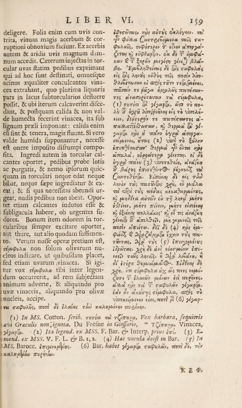 deligere. Folia enim cum uvis con¬ trita, vinum magis acerbum Sc cor¬ ruptioni obnoxium faciunt. Ex acerbis autem & aridis uvis magnum dam¬ num accedit. Cxteruminjedlasin tor¬ cular uvas ftatim pedibus exprimant qui ad hoc funt deftinati, omnefqtie acinos xqualiter conculcantes vina¬ cea extrahant, quo plurima liquoris pars In lacus fubtorcularios defluere poflit, &; ubi iterum calcaverint difee- dant, poftquam calida 6c non val¬ de humedla fecerint vinacea, ita fiib lignum prseli imponant; calida enim cu fint & tenera, magis fluunt. Si vero valde humida iupponantur, necefle eft onere impolito difrumpi compo- lita. Ingredi autem in torcular cal¬ cantes oportet, pedibus probe lotis ac purgatis, nemo ipforum quic- quam in torculari neque edat neque bibat, neque faepe ingrediatur & ex¬ eat j ii qua neceflitas abeundi ur¬ geat, nudis pedibus non abeat. Opor¬ tet etiam calcantes indutos efle 6c fubligacula habere, ob urgentes fu- dores. Bonum item odorem in tor¬ cularibus iemper excitare oportet, aut thure, aut alio quodam fuffimen- to. Verum nofle operae pretium efl, ^ΐ[ΛφυλΛ non folum olivarum nu¬ cleos indicare, ut quibufdam placet, fed etiam uvarum .vinacea. Si igi¬ tur vox Η^ψυλΛ tibi inter legen¬ dum occurrerit, ad rem fubjeftam animum adverte, aliquando pro uvae vinaceis, aliquando pro olivae nucleis, accipe. iPu)is,CC QuVTQA^O^iVOt. τκΓς $■«- φυλαΧς^ ‘pJφότiξo^f Τ οίνον eC7np^-‘ ζίτοή ίυφ6οίρ%)ν, (Μί τ ο^Α/ψοί· κων « Τ' ζ'ήξΜΐ ρλ»- β'ή. ^Ε/Αβλ^3·£{5Γας ς-χψνλοίς ΐίς λί]ν^ς ίύΒ-υς 'ηΐζ τηκην oi ‘ΐΰ^ζτ^'ττ) TS^fUtsvoc, •TTuerpov τε ρ^γ» τπΛ'τήσζΜ)- τεζ αναανξετωσζίν τα ς'ε^φυλχ^ (ί) τατε<η ^ »5TF το λΐ 5^ ^^fipv^vcif Ηζ το νετΐλιί- vioVi ^υτε^^ν τε τταττ/οτ^τίς λ- sroi^isiTii(B'&)(recv, Β·ερ(Αχ ^ yi- 8 τιτίνυ dyrspyct- σΰ(/ίενοι, ^ταζ (ΐ) issro το ^ιίλοι? ε7Γί'η^Έτζύύ'οο&’' Β·ερ(Α/^ οΙπόΑ ατίϊίλα, ευ^ωτε^ p^ysTOf. έι ^ ττΐΑνυ (3) lianiTsS-i/j}, uvdfcn S* βα,ξϋζ Ιτίτ£9ίντ(^ pnyvvdJ^ Ttt (^ίλντε^εν'^. Έιιπενίοι «ς τίν) Ajjvoy τύ^ vrccT^v^ Tfyj, ευ i/idxoo ' ο ' ' 0- ' TU τϋζ οτΌΰϊίζ κεκοίΤΆρι^ενας» [/jvsh^vai Άυτζύν dv τγ ληνω /Λ^τε Ιο9·ί«ν, )Μ/ΐίτ2 TTiviiv, ΐΛ(ίΤ2 dmivccf i^dvccf τΓΰλλΰίκίζ' ^ « τις dvccfkn yivoi^ 5^ βίτηλ^εΐν, μJί^ ‘yυ(/JVo7ζ τνΧς 5χπίπν dyfiircj. ^ε (4) W φίε^ζ (c* ε^^είν τ8ς 7ΐζχ,~ τ^ντΰος, Τ8ς (jr) εττεί^β^ενας ί^ωτοίζ. ^Vt ^ε cld ευοσ-μοίοίν ετπ- vosiv ταις λνίνοίζ·, vt Aihxva, η Λ’ 2r2^ii Β·ν^υίχμίχΙ(^. Eta^vaf 071 ς-ε^φνλοο ωζ τινες νομ/ί-» ζϋοη τ ελοΜων μυονων ε<ΐΐ τΐνξνίνες* ci^cc y^Ji rd Ύ ς·χφυλαν yiyap^„ idv 8v ctJiscTJj? ς'εμυφνλα,, <Ζίτζ?5 το Λτίτοκείμοενον ναθ^,^ΤΈ μ (6) yiyoep^ 7U ς’χφυλκς, ^τε ^ε ελαίάοί τ12> χχλ'αμενν^ν ττυβΑνην. (ι) Ιη MS. Cotton. ferib. τατε<η tu τζίττα^. Vox barbaray fequiorh £vi Graculis non\ignota. Du Frefne in GioJfariOy “ τζίτταο^,* Vinacea, I yiyotp'^» (a) lia legend. ex IvISS. F. Bar. Tnterp. prius Ιττί· (3) ; mend, ex MSS. V. F. L. B. i, 2. (4) Hac vocula deefi tn Bar. (5*) In . MS. Barocc. επί^ίνοβ^α<^, (6) ^dX, habet ^Άψυλόνν^ τίτοττ dk» την ,! xctXis^^lfAi ^υζηνίο)* Κ E