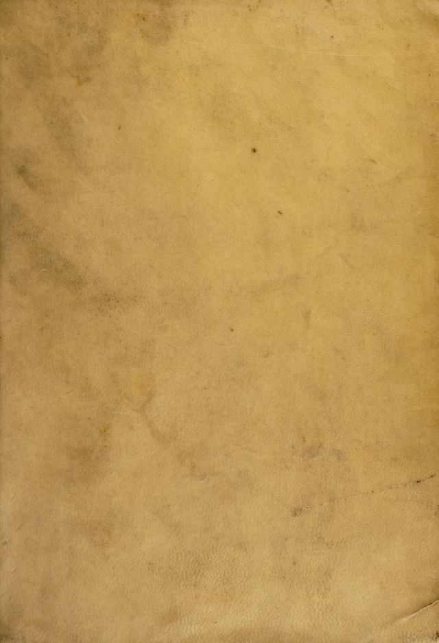 digitised image 1