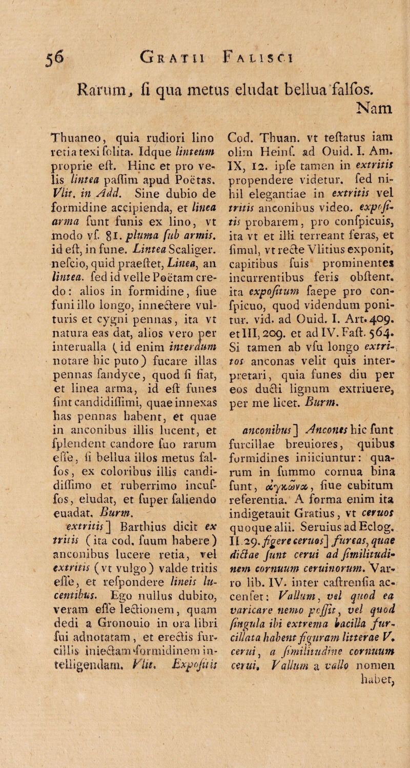 Rarum, fi qua metus eludat bellua falfos. Nam Thuaneo, quia rudiori lino retia texi folita. Idque linteum proprie eft. Hinc et pro ve¬ lis lintea paflim apud Poetas. Vlit. in Add. Sine dubio de formidine accipienda, et linea arma funt funis ex lino, vt modo vf. 81. pluma fub armis. id eft, in fune. Lintea Scaliger. nefcio, quid praeftet, Linea, an lintea. fed id velle Poetam cre¬ do : alios in formidine, liue funi illo longo, innectere vul¬ turis et cygni pennas, ita vt natura eas dat, alios vero per interualla (id enim interdum notare hic puto) fucare illas pennas fandyce, quod fi fiat, et linea arma, id eft funes fint candidiflimi, quae innexas has pennas habent, et quae in anconibus illis lucent, et fplendent candore fuo rarum eft e, li bellua illos metus fal¬ fos , ex coloribus illis candi- diftimo et ruberrimo incuf- fos, eludat, et fuper faliendo euadat, Burm. extritis] Barthius dicit ex tritis (ita cod, fuum habere ) anconibus lucere retia, vel extritis (vt vulgo) valde tritis effe, et refpondere lineis lu¬ centibus. Ego nullus dubito, veram effe lectionem, quam dedi a Gronouio in ora libri fui adnotatam, et erectis fur¬ cillis inieram formidinem in- tdligemkm, Viit* Expofii U Cod. Tbnan. vt teftatus iam olirn Heinf. ad Ouid. I. Am. IX, 12. ipfe tamen in extritis propendere videtur, fed ni¬ hil elegantiae in extritis vel truis anconibus video, expofi- tis probarem, pro confpicuis, ita vt et ilii terreant feras, et fimul, vt recte Vlitius exponit, capitibus fuis prominentes incurrentibus feris obftent. ita expofitum faepe pro con- fpicuo, quod videndum poni¬ tur. vid. ad Ouid. I. Alt. 409. et III, 209. et ad IV.Faft. 564. Si tamen ab vfu longo extri¬ tos anconas velit quis inter¬ pretari, quia funes diu per eos ducti lignum extriuere, per me licet. Burm. anconibus'] Ancones hic funt furcillae breuiores, quibus formidines inficiuntur: qua¬ rum in fummo cornua bina funt, ciyKuvso, fiue cubitum referentia. A forma enim ita indigetauit Gratius, vt ceruos quoque alii. SeruiusadEclog. IL29. figere ceruos] furcas, quae ditiae Junt cerni ad fimilitudi• nem cornuum ceruinorum. Var¬ ro lib. IV. inter caftrenfia ac- cenfet: Vallum, vd quod ea varicare nemo pcjjit, vel quod lingula ibi extrema bacilla fur¬ cillata habent figuram litterae V, cerni 5 a fimilitudine cornuum cerui» Vallum a vallo nomen habet.
