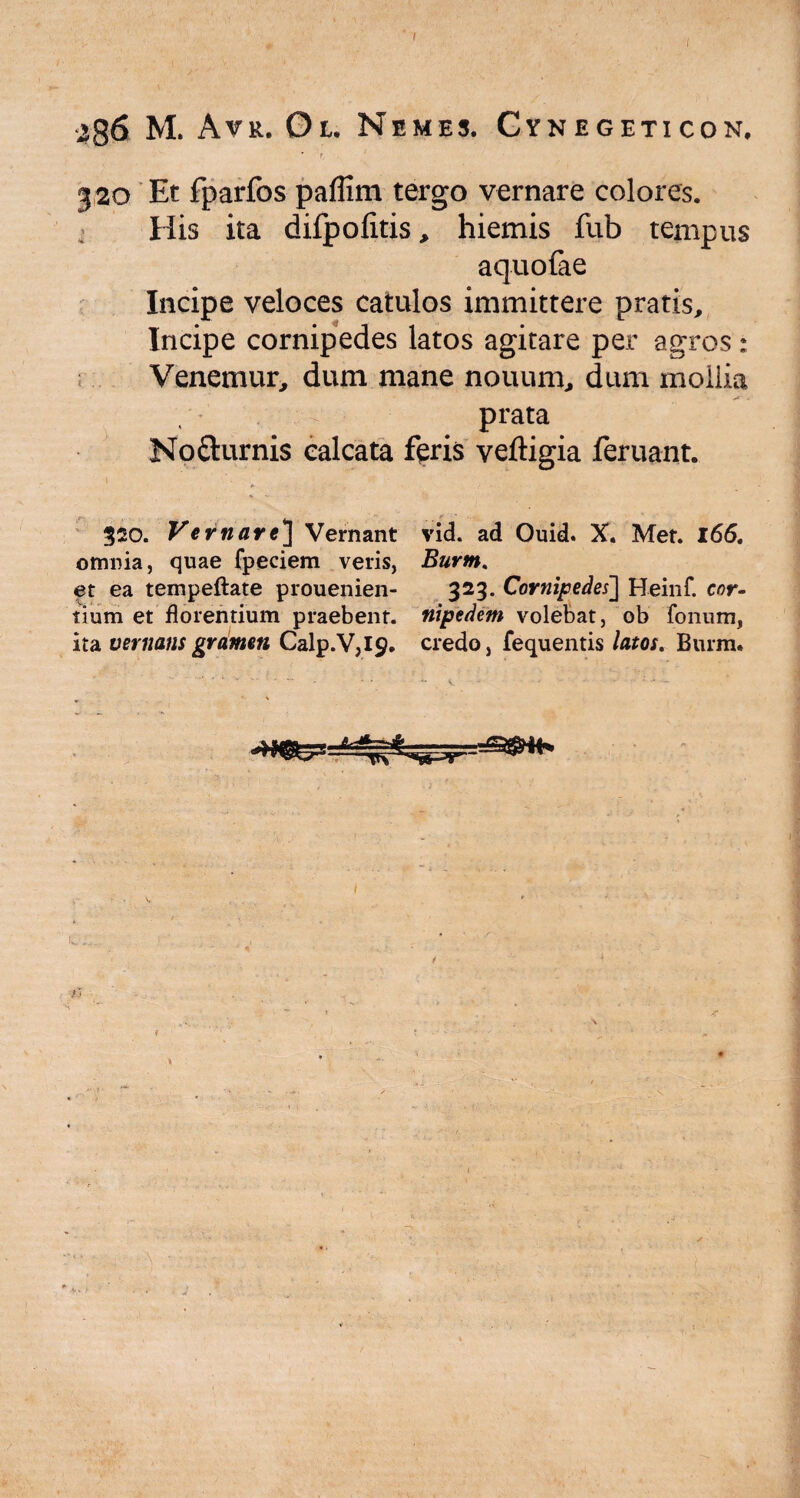 * r ' 320 'Et fparfos paflim tergo vernare colores. His ita difpofitis, hiemis fub tempus aquofae Incipe veloces catulos immittere pratis. Incipe cornipedes latos agitare per agros : Venemur, dum mane nouum, dum moliia prata No&urnis calcata feris veftigia feruant. 320. Vernare] Vernant vid. ad Ouid. X. Met. 166. omnia, quae fpeciem veris, Burrn. et ea tempeftate prouenien- 323. Cornipedes] Heinf. cor- tium et florentium praebent, nipedem volebat, ob fonum, ita vernans gramen Calp.V,I9. credo, fequentis latos. Burm.