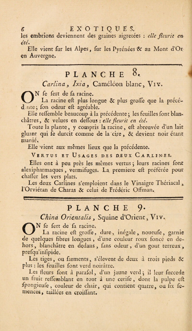 € _ EXOTIQUE S. les embrions deviennent des graines aigretées : elle fleurit en / / ete. Elle vient fur les Alpes, fur les Pyrénées 6c au Mont d’Or en Auvergne. l mm i> i ■■■■ ■ in— , ?■■■ - — —- ■ .. ■ ■■■■■ nMÉrr r. — ■ PLANCHE 8. Carlina, Ix'ia, Caméléon blanc, Viv. ON fe fert de fa racine. La racine eft plus longue plus grofte que la précé¬ dante; fon odeur eft agréable. Elle reffemble beaucoup à la précédente; les feuilles font blam châtres, & velues en deifous : elle fleurit en été. Toute la plante, y compris la racine, eft abreuvée d’un lait gluanr qui fe durcit comme de la cire, & devient noir étant manié* Elle vient aux mêmes lieux que la précédente. Vertus et Usages des deux Carl i n e s. Elles ont à peu près les mêmes vertus ; leurs racines font alexipharmaques , vermifuges. La première eft préférée pour challer les vers plats. Les deux Cariines s’emploient dans le Vinaigre Thériacal s l’Orviétan de Charas Ôc celui de Frédéric Oftman. PLANCHE 9- China Oricntalis 3 Squine d’Orient, Viv* ON fe fert de fa racine.. La racine eft grofte, dure, inégale, noueufe, garnie de quelques fibres longues , d’une couleur roux foncé en de¬ hors, blanchâtre en dedans, fans odeur, d’un goût terreux, prefqu’infipide. Les tiges, ou farments, s’élèvent de deux â trois pieds <Sc plus : les feuilles font verd noirâtre. Les fleurs font a parafai, d’un jaune verd; il leur fuccede un fruit reftemblant en tout â une cerife , dont la pulpe eft fpongieufe, couleur de chair, qui contient quatre, ou fix fe- mences, taillées en croilfant.