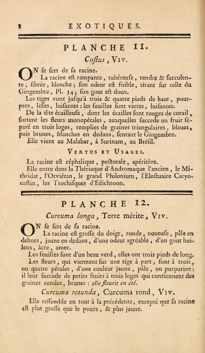 PLANCHE II. Cojius y iv# O N fe fert de fa racine. La racine eft rampante , tubéreufe , tendre &amp; fucculen- te , fibrce, blanche $ fon odeur eft foible, tirant fur celle du Gingembre, Pl. 343 fon goût eft doux. Les tiges vont jufqu’à trois &amp; quatre pieds de haut, pour¬ pres , lilfes, luifantes : les feuilles font vertes, luifantes. De la tête écailleufe , dont les écailles font rouges de corail % Portent les fleurs mono pétales , auxquelles fuccede un fruit fé- paré en trois loges, remplies de graines triangulaires , bleues * puis brunes, blanches en dedans, fentant le Gingembre. Elle vient au Malabar, à Surinam, au BréfîL Vertus et Usages, La racine eft céphalique , peéforale, apéritive* Elle entre dans la Thériaque d’Andromaque l’ancien, le Mi- îhridat, l’Orviétan, le grand Philonium, l’Eleéluaire Caryo=i coftin, les Trochifques d’Edichroon. planche 12. Car aima longa y Terre mérite, Viv. ON fè fert de fa racine. La racine eft grolfe du doigt, ronde, noueufe , pâle en dehors , jaune en dedans , d’une odeur agréable , d’un goût huL leux, âcre , amer. Les feuilles font d’un beau verd , elles ont trois pieds de long. Les fleurs, qui viennent fur une tige â part, font à trois, ou quatre pétales , d’une couleur jaune , pâle , ou purpurine : il leur fuccede de petits fruits â trois loges qui contiennent des graines rondes, brunes : elle fleurit en été. Curcuma rotunda> Curcuma rond, Viv. Elle reffemble en tout â la précédente, excepté que fa racine eft plus grofte que le pouce, ôc plus jaune.