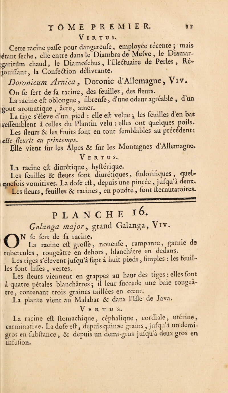 Vertus. Cette racine patte pour dangereufe, employée récente ; mais jetant feche, elle entre dans le Diambra de Mefve , le Diamar- garitum chaud, le Diamofchus, 1 Eleéfcuaire de Perles , Re^ sjouiflant, la Confeétion délivrante» Dororucum Arnica y Doronic'd Allemagne ^ Viv# On fe fert de fa racine, des, feuilles, des fleurs. La racine eft oblongue , fibreufe> d une odeur agréable > d un ;gout aromatique, âcre, amer. La tige s’élève d’un pied : elle eft velue ; les feuilles d’en bas ireflemblent â celles du Plantin velu : elles ont quelques poils. Les fleurs 8c les fruits font en tout femblables au précédent: elle fleurit au printemps. Elle vieot fur les Alpes 8c fur les Montagnes d’Allemagne* Vertus. La racine eft diurétique, hyftérique. Les feuilles 8c fleurs font diurétiques, fudorifiques^ quel¬ quefois vomitives. La dofe eft, depuis une pincee , jufqu a deux* Les fleurs, feuilles 8c racines, en poudre, font flernutatoires. planche ré. Galanga major, grand Galanga, \ iv. ON fe fert de fa racine. La racine eft groffe, noueufe , rampante, garnie de tubercules , rougeâtre en dehors , blanchâtre en dedans. Les tiges s'élèvent jufqu’âfept à huit pieds, Amples : les feuil¬ les font liftes, vertes. Les fleurs viennent en grappes au haut des tiges : elles font â quatre pétales blanchâtres} il leur fuccede une baie rougeâ¬ tre, contenant trois graines taillées en cœur. La plante vient au Malabar 8c dans Lille de Java. Vertus. La racine eft ftomachique, céphalique, cordiale, uterine, carminative. La dofe eft, depuis quinze grains , jufqu à un demi- gros en fubftance, 8c depuis un demi-gros jufqu a deux gros en infufion.