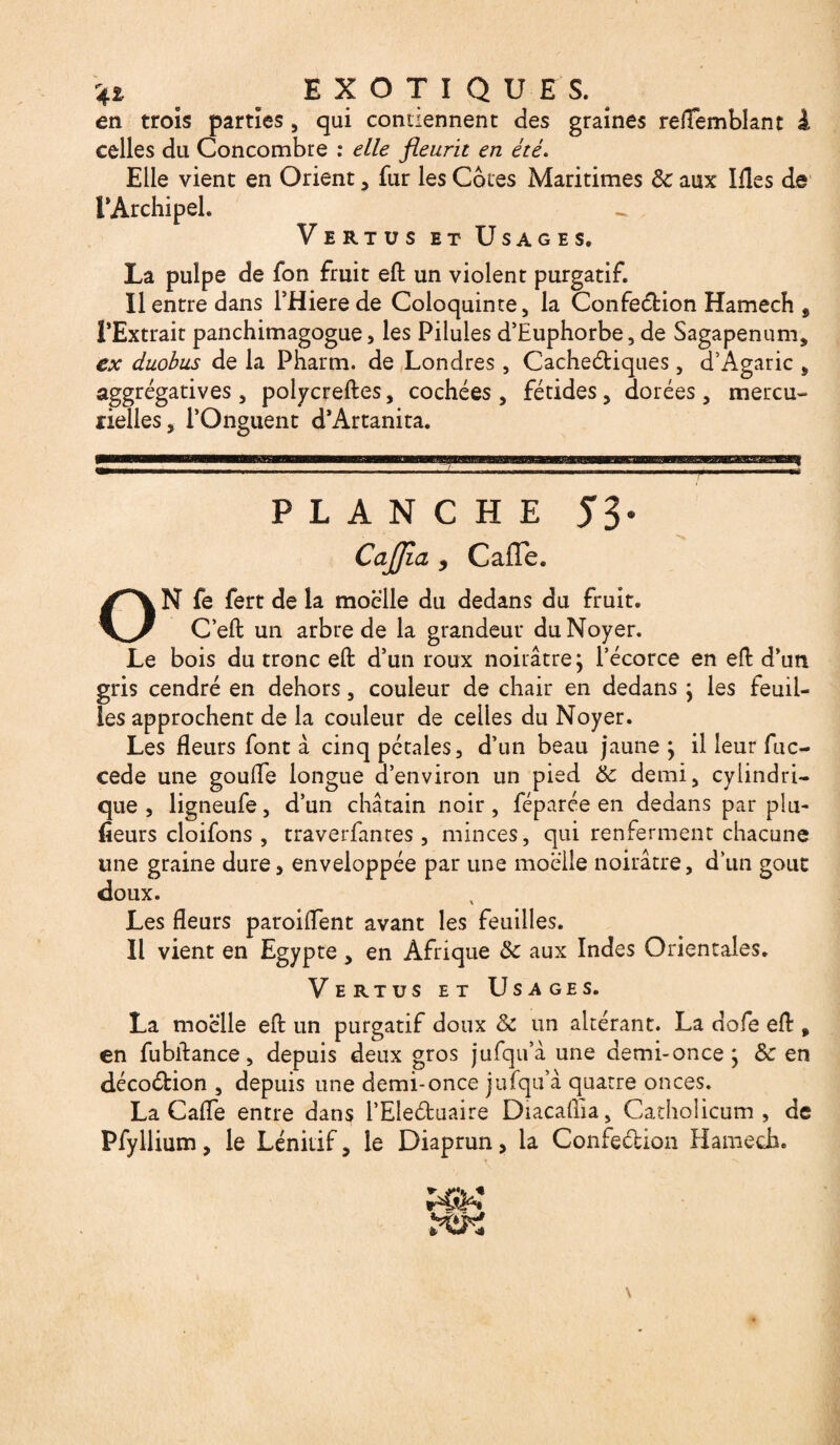 %% ^ EXOTIQUES. en trois parties , qui contiennent des graines reflemblant à celles du Concombre : elle fleurit en été. Elle vient en Orient, fur les Côtes Maritimes Sc aux Ifles de l'Archipel. Vertus et Usages. La pulpe de fon fruit eft un violent purgatif. Il entre dans THierede Coloquinte, la Confection Hamech , l'Extrait panchimagogue, les Pilules d’Euphorbe, de Sagapenum, ex duobus de la Pharm. de Londres , Cacheétiques, d’Agaric , aggrégatives, polycreftes, cochées, fétides, dorées, mercu¬ rielles, l’Onguent d'Artanita. PLANCHE Cajjîa , CafTe. ON fe fert de la moelle du dedans du fruit. C’eft un arbre de la grandeur du Noyer. Le bois du tronc eft d’un roux noirâtre j l’écorce en eft d’un gris cendré en dehors, couleur de chair en dedans ; les feuil¬ les approchent de la couleur de celles du Noyer. Les fleurs font à cinq pétales, d’un beau jaune ; il leur fuc- cede une goufle longue d’environ un pied & demi, cylindri¬ que , ligneufe, d’un châtain noir, féparée en dedans par plu- fieurs cloifons , traverfanres, minces, qui renferment chacune une graine dure, enveloppée par une moelle noirâtre, dun goût doux. Les fleurs parodient avant les feuilles. Il vient en Egypte , en Afrique & aux Indes Orientales. Vertus et Usages. La moelle eft un purgatif doux Sc un altérant. La dofe eft , en fubftance, depuis deux gros jufqu’â une demi-once ; & en décoCtion , depuis une demi-once jufqu’â quatre onces. La Cafle entre dans l’Eleduaire Diacafiia, Catholicum , de Pfyllium, le Lénitif, le Diaprun, la Confection Hamech.