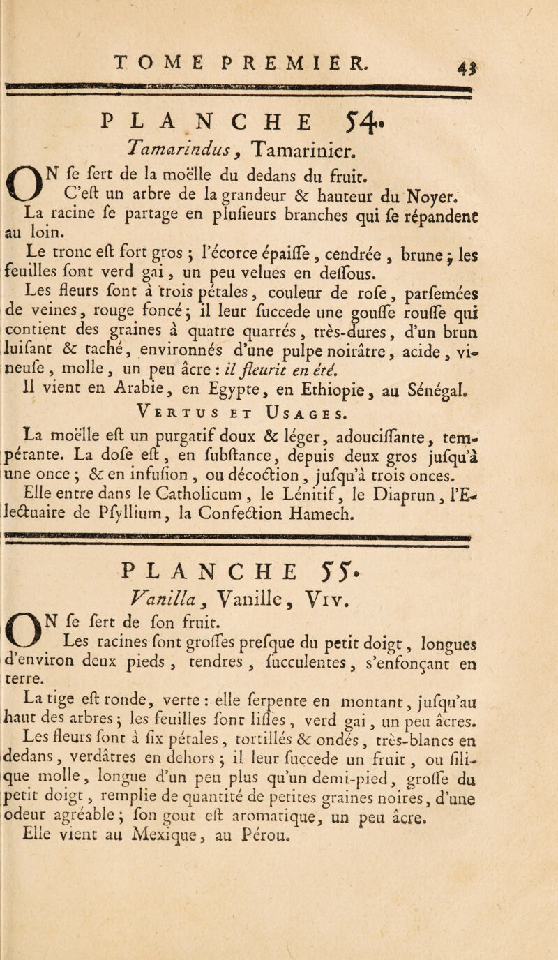 PLANCHE 5’4* Tamarindus 9 Tamarinier, ON fe fert de la moelle du dedans du fruit, C’eft un arbre de la grandeur & hauteur du Noyer, La racine fe partage en piufieurs branches qui fe répandent au loin. Le tronc eft fort gros ; l’écorce épaifle , cendrée * brune ÿ les feuilles font verd gai, un peu velues en delfous. Les fleurs font à trois pétales, couleur de rofe, parfemées de veines, rouge foncé; il leur fuccede une goufle roulfe qui contient des graines a quatre quarrés, très-dures, d’un brun luifant 8c tache, environnés d’une pulpe noirâtre, acide, vi-® neufe , molle , un peu âcre : il fleurit en été. Il vient en Arabie, en Egypte, en Ethiopie, au Sénégal. Vertus et Usages. La moelle eft un purgatif doux & léger, adouciflfante, tem¬ pérante. La dofe eft, en fubftance, depuis deux gros jufqu’à une once ; 8c en infufion , ou décoétion , jufqu’à trois onces. Elle entre dans le Catholicum , le Lénitif, le Diaprun , l’E- le&uaire de Pfyllium, la Confeétion Hamech. PLANCHE 57* Vanilla3 Vanille, Viv. ON fe fert de fon fruit. Les racines font grofles prefque du petit doigt, longues d’environ deux pieds , tendres , fucculentes, s’enfonçant en terre. La tige eft ronde, verte : elle ferpente en montant, jufqu’au haut des arbres ; les feuilles font iifles 5 verd gai, un peu âcres. Les rieurs font a flx pétales , tortillés 8c ondes , très-blancs en idedans, verdâtres en dehors ; il leur fuccede un fruit, ou flli- que molle, longue d’un peu plus qu’un demi-pied, grofle du petit doigt, remplie de quantité de petites graines noires, d’une odeur agréable; fon goût eft aromatique, un peu âcre. Elle vient au Mexique, au Pérou.