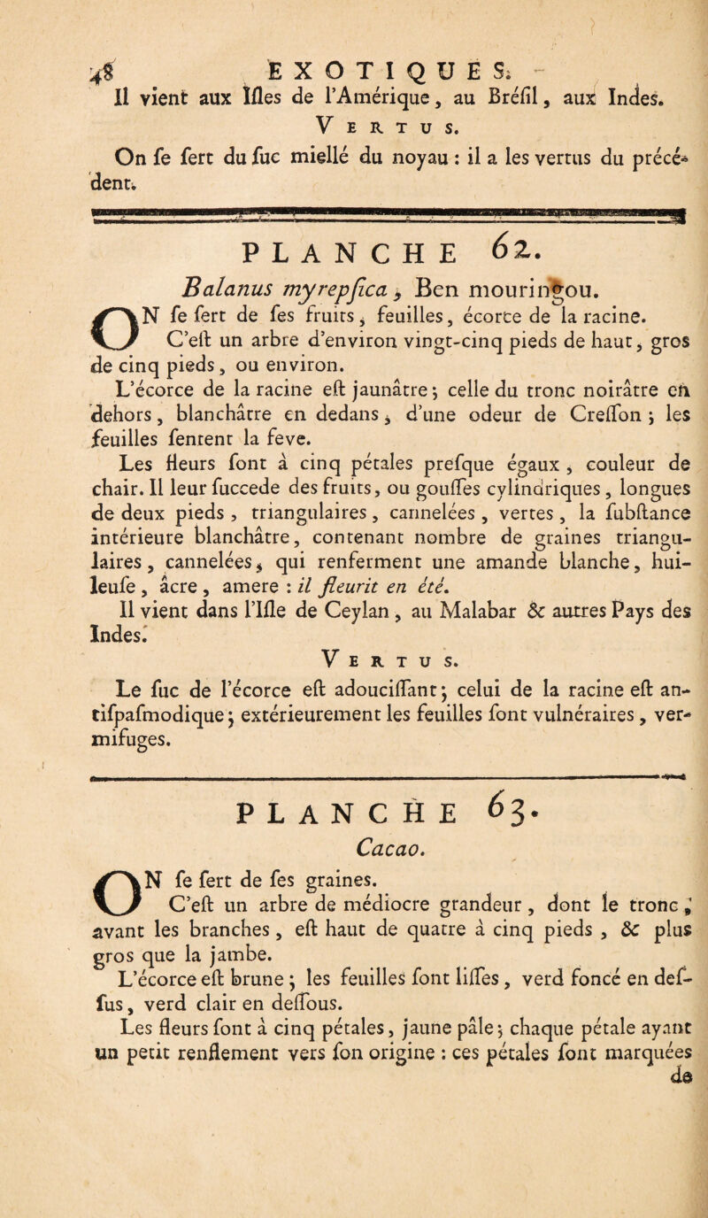 4% EXOTIQUE S. - Il vient aux îfles de l’Amérique, au Bréfil, aux Indes, V e r t u s. On fe fert du fuc miellé du noyau : il a les vertus du précé¬ dente PLANCHE 6z. Balanus myrepjlca > Ben mouringou. ON fe fert de fes fruits * feuilles, écorte de la racine. C’eft un arbre d’environ vingt-cinq pieds de haut, gros de cinq pieds, ou environ. L’écorce de la racine eft jaunâtre; celle du tronc noirâtre en dehors, blanchâtre en dedans * d’une odeur de Crefton j les feuilles fenrent la feve. Les fleurs font à cinq pétales prefque égaux , couleur de chair. Il leur fuccede des fruits, ou gorilles cylindriques, longues de deux pieds , triangulaires, cannelées, vertes, la fubllance intérieure blanchâtre, contenant nombre de graines triangu¬ laires, canneléesi qui renferment une amande blanche, hui- leufe, âcre , amere : il fleurit en été. Il vient dans l’Ifle de Ceylan , au Malabar & autres Pays des Indes. Vert u s. Le fuc de l’écorce eft adouciflant} celui de la racine eft an- tifpafmodique j extérieurement les feuilles font vulnéraires, ver¬ mifuges. P L *3- ANCHE Cacao. ON fe fert de fes graines. C’eft un arbre de médiocre grandeur, dont le tronc i avant les branches, eft haut de quatre à cinq pieds , 6c plus gros que la jambe. L’écorce eft brune ; les feuilles font liftes, verd foncé en def- fus, verd clair en deftous. Les fleurs font â cinq pétales, jaune pâle 5 chaque pétale ayant un petit renflement vers fon origine : ces pétales font marquées de