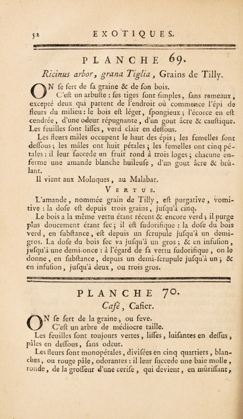 PLANCHE 69 Ricinus arbor, grand Tiglia, Grains de Tilly. N fe fert de fa graine ôc de fon bois. C’eft un arbufte : fes tiges font Amples, fans rameaux, excepté deux qui partent de l’endroit où commence répi de fleurs du milieu : le bois eft léger, fpongieux ; l’écorce en eft cendrée, d’une odeur répugnante, d’un goût âcre Ôc cauftique. Les feuilles font lifîés, verd clair en deflous. Les fleurs mâles occupent le haut des épis ; les femelles font deflous ; les mâles ont huit pétales} les femelles ont cinq pé¬ tales : il leur fuccede un fruit rond â trois logesj chacune en¬ ferme une amande blanche huileufe , d’un goût âcre ôc brû¬ lant. 11 vient aux Moluques, au Malabar. Vertus. L’amande, nommée grain de Tilly, eA purgative, vomi¬ tive : la dofe eft depuis trois grains, jufqu’à cinq. Le bois a la même vertu étant récent ôc encore verd * il purge puis doucement étant fec} il eft fudorifique : la dole du bois verd, en fubftance, eft depuis un fcrupule jufqu’à un demi- gros. La dofe du bois fec va jufqu a un gros} ôc en infuflon , jufqu’à une demi-once : à l’égard de fa vertu fudorifique , on le donne, en fubftance, depuis un demi-fcrupule jufqu’à un j ôc en infuflon, jufqu’à deux, ou trois gros. PLANCHE 70e Café 0 Cafîer. ON fe fert de la graine-, ou feve. C’eft un arbre de médiocre taille. Les feuilles font toujours vertes, lifles, luifantes en deflus, pâles en deflous, fans odeur. Les fleurs font monopétales, divifées en cinq quartiers, blan¬ ches, ou rouge pâle, odorantes : il leur fuccede une baie molle , ronde, de la grofleur d’une cerife , qui devient, en mûriffanc.