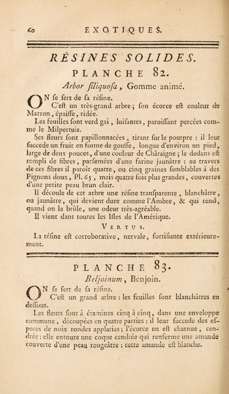 RÉSINES SOLIDES. PLANCHE 82. Arbor Jîliquofa , Gomme animé. N Te fert de fa réfine. C’eft un très-grand arbre ; fon écorce efi: couleur cfe Marron , épaiflè, ridée. Les feuilles font verd gai, luifantes, parodiant percées com¬ me le Milpertuis. Ses fleurs font papillonnacées , tirant furie pourpre : il leur fuccede un fruit en forme de goufle , longue d’environ un pied, large de deux pouces, d’une couleur de Châtaigne ; le dedans elf rempli de fibres, parfemées d’une farine jaunâtre : au travers de ces fibres il paroît quatre, ou cinq graines femblables à des Pignons doux, PL 65, mais quatre fois plus grandes, couvertes d’une petite peau brun clair. Il découle de cet arbre une réfine tranfparente , blanchâtre, ou jaunâtre, qui devient dure comme l’Ambre, 3c qui rend, quand on la brûle, une odeur très-agréable. Il vient dans toutes les Ifles de l’Amérique. Vertus. La réfine efi: corroborative, nervale, fortifiante extérieure¬ ment. HBSPtWaBBBWTOaaBgBI—BWWBBBWBHWWgE!BWBIWroWEBiWgMB—WBB—B iHMBWHMBBM5ggBE— PLANCHE 83. Beljoinum, Benjoin. N fe fert de fa réfine. C’effc un grand arbre : les feuilles font blanchâtres en deiîous. Les fleurs font â étamines cinq à cinq, dans une enveloppe commune , découpées en quatre parties : il leur fuccede des ef- peces de noix rondes applaties ; l’écorce en efi charnue, cen¬ drée : elle entoure une coque cendrée qui renferme une amande couverte d’une peau rougeâtre : cette amande efi: blanche.