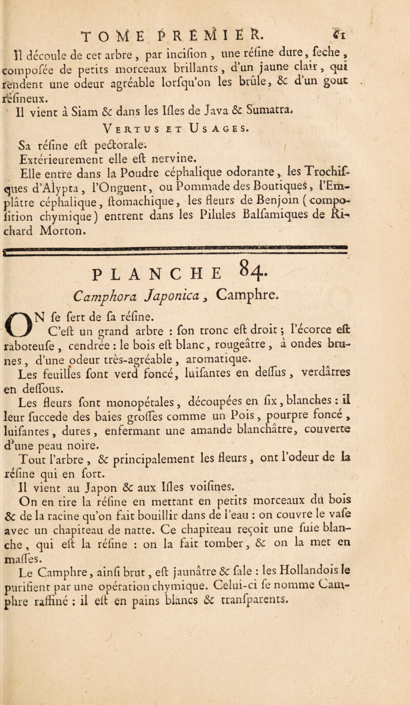 TOME P R É M I Ë R. *t îl découle de cer arbre , par incifion , une réfine dure, feche , compofée de petits morceaux brillants , d un jaune clair, qui rendent une odeur agréable lorfqu on les brûle, &C d un gouc rëfineux. Il vient à Siam Sc dans les Ifies de Java & Sumatra, Vertus et Usages. Sa réfine eft pectorale. f Extérieurement elle eft nervine. Elle entre dans la Poudre céphalique odorante, les Trochif- ques d’Alypta, rOnguent, ou Pommade des Boutiques, l’Em¬ plâtre céphalique, ftomachique, les Heurs de Benjoin (-compo- fition chymique) entrent dans les Pilules Balfamiques de chard Morton. PLANCHE 84. Camphora Japonica ^ Camphre, ON fe fert de fa réfine. C’eft un grand arbre : Ton tronc eft droit ; l’écorce efc raboteufe , cendrée : le bois eft blanc, rougeâtre , â ondes bru¬ nes , d’une pdeur très-agréable , aromatique. Les feuilles font vercï foncé, luifantes en defius, verdâtres en defious. Les fleurs font monopétales, découpées en fix,blanches : II leur fuccede des baies grofles comme un Pois, pourpre fonce , luifantes, dures, enfermant une amande blanchâtre, couverte dffine peau noire. Tout l’arbre , 8c principalement les fleurs , ont l’odeur de la réfine qui en fort. Il vient au Japon 8c aux Ifies voifines. On en tire la réfine en mettant en petits morceaux dtl bois 3c de la racine qu’on fait bouillir dans de i’eau : on couvre le vafe avec un chapiteau de natte. Ce chapiteau reçoit une fuie blan¬ che , qui eft la réfine : on la fait tomber, 8c on la met en mafles. Le Camphre, ainfi brut, eft jaunâtre 8c fale : les Hollandois le purifient par une opération chymique. Celui-ci fe nomme Cam¬ phre raffiné : il eft en pains blancs 8c tranfparents.