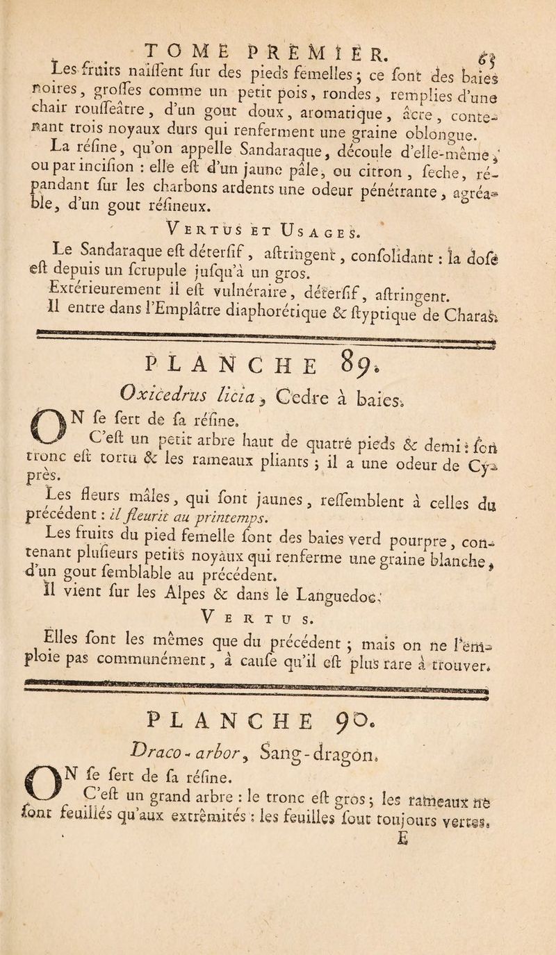 T O ME PR Ë M î E R. Les fruits n aillent fur des pieds femelles ; ce font des baies lûmes, grolfes comme un petit pois, rondes, remplies d’une chair roufteatre, d un goût doux, aromatique, acre, conte¬ nant trois noyaux durs qui renferment une graine oblongue. La réfine, qu’on appelle Sandaraque, découle d’eile-même ' oupaiincifon : elle eft dun jaune pâle, ou citron , feche, ré¬ pandant fur les charbons ardents une odeur pénétrante, agréa® ble, d’un goût rcfineux. D Vertus et Usages. Le Sandaraque eft dérerfif, aftringent, confondant : la dofé eit depuis un fcrupule jufqu a un gros. Extérieurement il eft vulnéraire, déterfif, aftringent. Il entre dans l’Emplâtre diaphonique & ftyptique&de Charah S3 PLANCHE Oxicedrus licia} Ccdre à baies-. N fe fert de fa réfine. C’eft un petit arbre haut de quatre pieds & demi : fort tronc eit torm & les rameaux pliants ; il a'une odeur de Cy¬ près. J Les fleurs mâles, qui font jaunes, reflemblent à celles du precedent : il fleurit au printemps. Les fruits du pied femelle font des baies verd pourpre, con¬ tenant plusieurs petits noyaux qui renferme une graine blanche, d un goût femblable au précédent. Il vient fur les Alpes & dans le Languedoc.' Vertus. Elles font les mêmes que du précédent ; mais on ne I*ëm=> ploie pas communément, à caufe qu’il eft plus rare à trouver. PLANCHE 90. Draco- arbor, Sang-dragon. ON fe fert de fa réfine. C’eft un grand arbre : le tronc eft gros ; les rameaux ffë font fouilles qu’aux extrémités : les fouilles fout toujours verts*. É