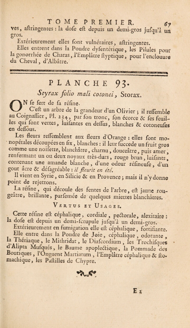 ves, aftrmgentes : la dofe eft depuis un demi-gros jufqua ua gros. 1 Extérieurement elles font vulnéraires, aftringentes. Elles entrent dans la Poudre dyfentérique, les Pilules pout la gonorrhée de Charas, l’Emplâtre ftyprique, pour lenclouure du Cheval, d'Albâtre. PLANCHE 93- Styrax folio mah coionei $ Storax. N fe fert de fa réfine. Y . Ceft un arbre de la grandeur d’un Olivier ; il reflemble au Coignafîier, PI. 234, par fon tronc, fon écorce ôc fes feuil¬ les qui font vertes, luifantes en defflis, blanches Ôc cotoneufes en delfous. Les fleurs relTemblent aux fleurs d’Orange : elles font mo¬ nopétales découpées en fix, blanches : il leur fuccede un fruit gros comme une noifette, blanchâtre, charnu , douceâtre, puis amer, renfermant un ou deux noyaux très-durs, rouge brun , luifants, contenant une amande blanche, d’une odeur réflneufe, d’un goût âcre & défagréable : il fleurit en été. Il vient en Syrie, en Silicie Ôc en Provence 3 mais il n’y donne point de rejettons. La refine, qui découlé des fentes de l’arbre, eft jaune rou¬ geâtre, brillante, parfemée de quelques miettes blanchâtres» Vertus et Usages, Cette réline eft céphalique, cordiale , pedorale, alexitaire s la dofe eft depuis un demi-fcrupule jufqua un demi-gros. Extérieurement en fumigation elle eft céphalique, fortifiante. Elle, entre, dans la Poudre de Joie, céphalique , odorante , la Thériaque, le Mithridat, le Diafcordium, les Trochifques d Alipta Mufqués, le Baume apopledique, la Pommade des Boutiques, 1 Onguent Martiatum , l’Emplâtre céphalique ôc fto- machique, les Paftilles de Chypre.