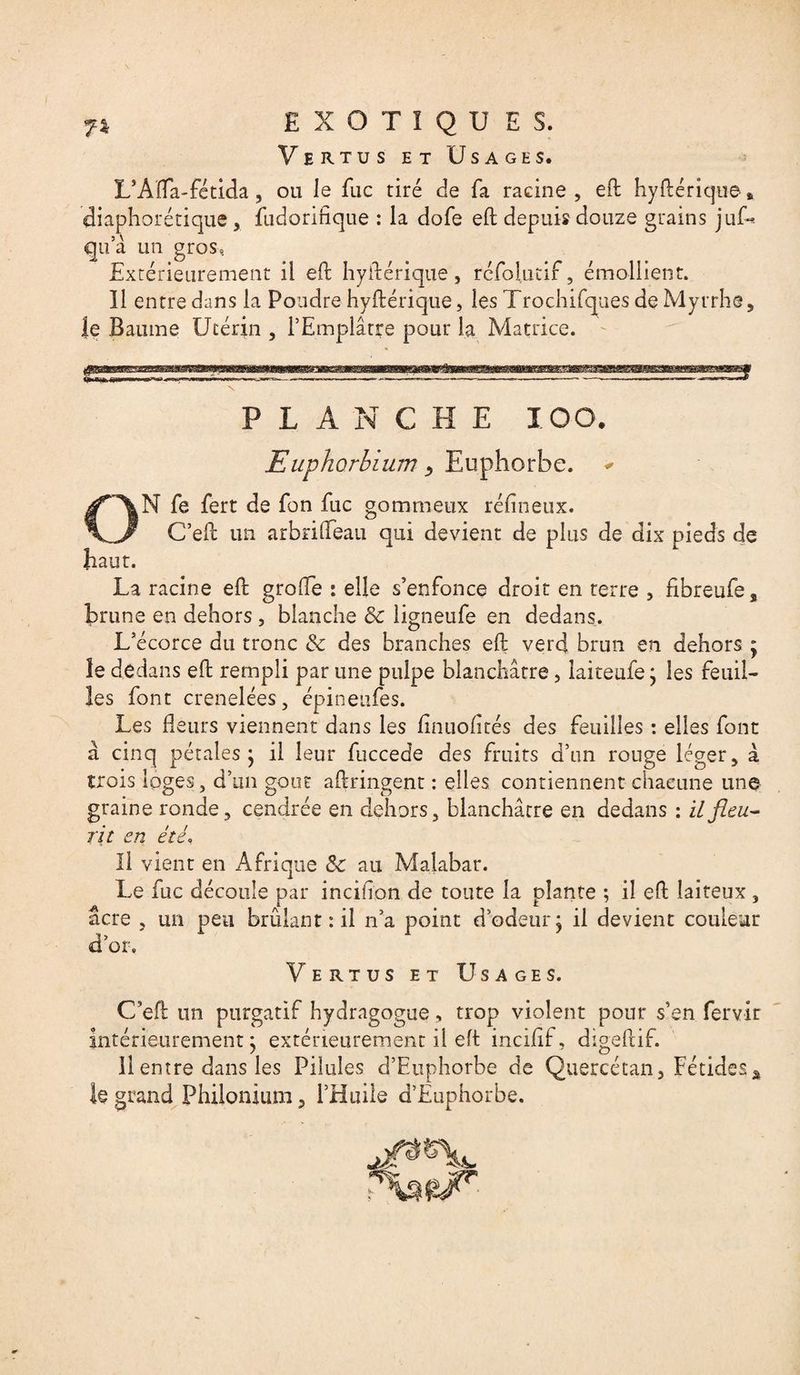 Vertus et Usages. L’Afla-fétida, ou le fuc tiré de fa racine, eft hyftérique» diaphorétique, fudorifique : la dofe eft depuis douze grains juU qu’à un gros». Extérieurement il eft hyftérique, rcfolutif, émollient. 11 entre dans la Poudre hyftérique, les Trochifques de Myrrhe, le Baume Utérin , l’Emplâtre pour la Matrice. fgasæss? PLANCHE ICO. Euphorbium Euphorbe. * N fe fert de fon fuc gommeux ré un eux. C’eft un arbrifteau qui devient de plus de dix pieds de haut. La racine eft grolfe : elle s’enfonce droit en terre , fibreufe, brune en dehors , blanche & ligneufe en dedans. L’écorce du tronc & des branches eft verd brun en dehors ; îe dedans eft rempli par une pulpe blanchâtre, laiteufe ; les feuil¬ les font crenelées, épineufes. Les fleurs viennent dans les finuofirés des feuilles : elles font à cinq pétales; il leur fuccede des fruits d’un rouge léger, à trois loges, d’un goût aftringent : elles contiennent chacune une graine ronde, cendrée en dehors, blanchâtre en dedans : il fleu¬ rit en été» Il vient en Afrique Sc au Malabar. Le fuc découle par incifton de toute la plante ; il eft laiteux , âcre , un peu brûlant : il n’a point d’odeur; il devient couleur d’or. Vertus et Usages. C’eft un purgatif hydragogue, trop violent pour s’en fervir Intérieurement; extérieurement il eft inciftf, digeftif. 11 entre dans les Pilules d’Euphorhe de Quercétan, Fétidesâ le grand Philonium, l’Huile d’Euphorbe.