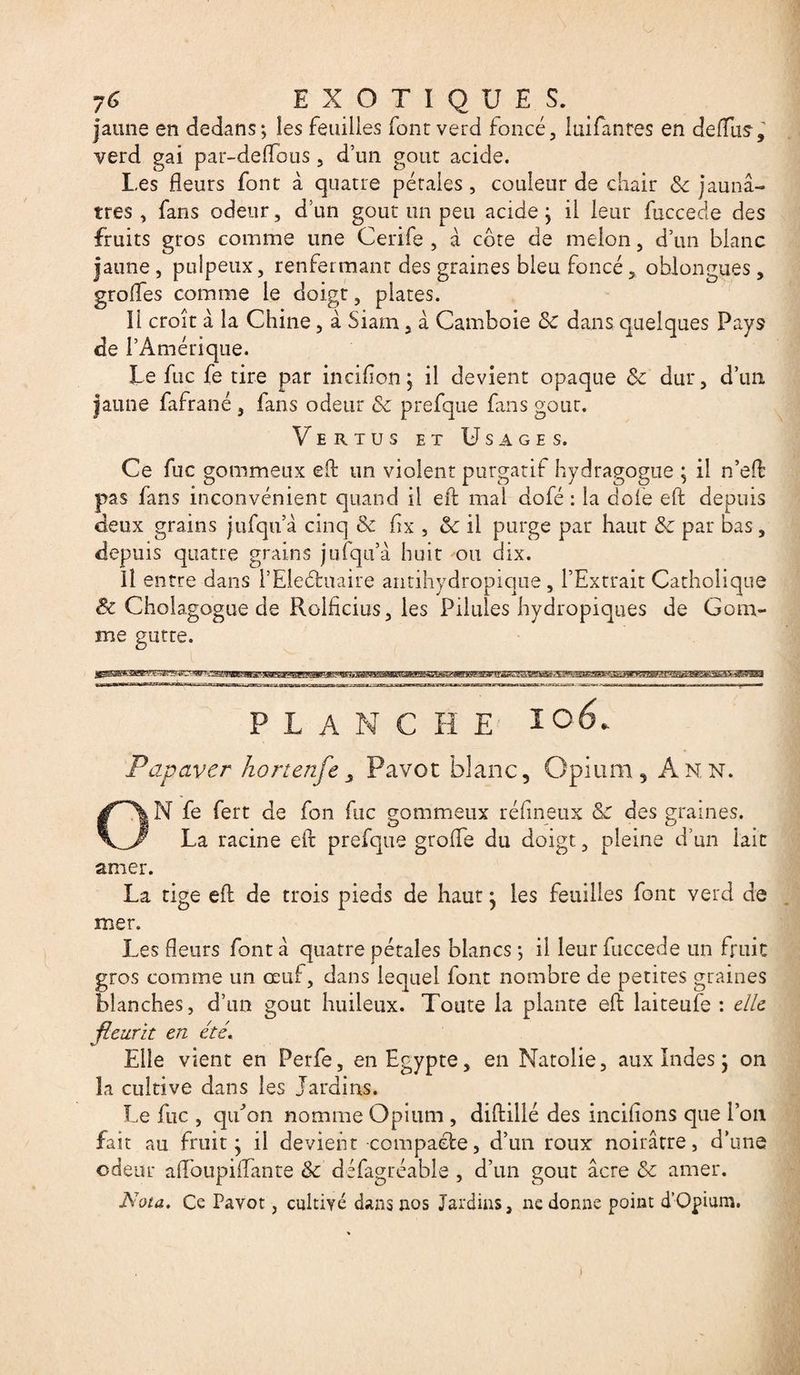 y G EXOTIQUES. jaune en dedans; les feuilles font verd foncé, luifanres en de (Tus-, verd gai par-deflbus, d’un goût acide. Les fleurs font à quatre pétales, couleur de chair Sc jaunâ¬ tres , fans odeur, d’un goût un peu acide ; il leur fuccede des fruits gros comme une Cerife , à côte de melon, d’un blanc jaune, pulpeux, renfermant des graines bleu foncé, oblongues, groflfes comme le doigt, plates. Il croît à la Chine, à Siam, à Camboie &amp; dans quelques Pays de l’Amérique. Le fuc fe tire par inciflon; il devient opaque 8c dur, d’un jaune fafrané , lans odeur «Se prefque fuis goût. Vertus et Usages. Ce fuc gommeux eft un violent purgatif hydragogue ; il n’eft pas fans inconvénient quand il eft mai dofé : la doie eft depuis deux grains jufqu’à cinq &amp; fx , 8c il purge par haut 8c par bas, depuis quatre grains jufqu’à huit ou dix. Il entre dans i’Eleéhtaire antihydropique, l’Extrait Catholique 8c Cholagogue de Rolficius, les Pilules hydropiques de Gom¬ me gutte. PLANCHE 106. Papayer hortenfe 3 Pavot blanc. Opium, Ann. G| N fe fert de fon fuc gommeux réftneux Sc des graines. La racine eft prefque greffe du doigt, pleine d’un lait amer. La tige eft de trois pieds de haut • les feuilles font verd de mer. Les fleurs font à quatre pétales blancs ; il leur fuccede un fruit gros comme un œuf, dans lequel font nombre de petites graines blanches, d’un goût huileux. Toute la plante eft laiteufe : elle fleurit en été. %s Elle vient en Perfe, en Egypte, en Natolie, aux Indes j on la cultive dans les Jardins. Le fuc , quon nomme Opium , diftillé des incifions que Ion fait au fruit* il devient -compacte, d’un roux noirâtre, d’une odeur afToupiiïante 8c défagréable , d’un goût âcre 8c amer. Nota. Ce Pavot, cultivé dans nos Jardins, ne donne point d’Opium.