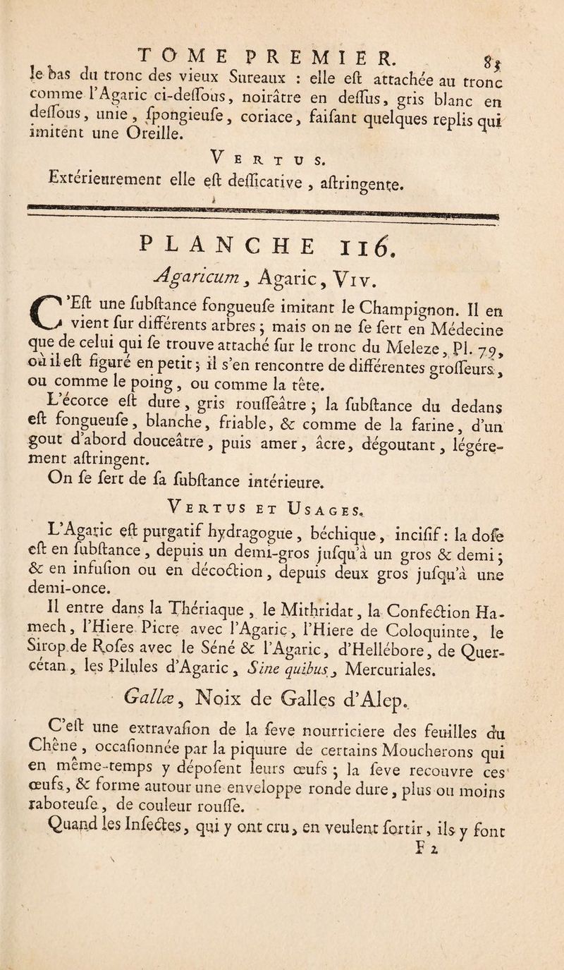 !e bas clu tronc des vieux Sureaux : elle eft attachée au tronc comme l’Agaric ci-defloos, noirâtre en deflus, gris blanc en deifous, unie , fpongieufe, coriace, faifant quelques replis qui imitent une Oreille. * Vertus. Extérieurement elle eft deflicative , aftringençe. PLANCHE II 6. Agaricumy Agaric, Viv. C’Eft une fubftance fongueufe imitant le Champignon. Il en vient fur différents arbres ; mais on ne fe fert en Médecine que de celui qui fe trouve attaché fur le tronc du Meleze, PI. 79, où il eft figure en petit 5 il s’en rencontre de différentes groffeurs * ou comme le poing , ou comme la tête. L ecorce eft dure , gris roufteâtre j la fubftance du dedans eft fongueule, blanche, friable, ôc comme de la farine, d’un goût dabord douceâtre, puis amer, âcre, dégoûtant, légère¬ ment aftringent. & ô On fe fert de fa fubftance intérieure. Vertus et Usages. L’Agaric eft purgatif hydragogue, béchique, incifif: la dofe eft en fubftance , depuis un demi-gros jufqu à un gros & demi ; Sc en infufion ou en décoélion, depuis deux gros jufqu a une demi-once. Il entre dans la Thériaque , le Mithridat, la Confection Ha- mech, 1 Hiere Picre avec 1 Agaric, i’Hiere de Coloquinte, le Sirop de Rofes avec le Séné & l’Agaric, d’Hellébore, de Quer- cetan, les Pilules d’Agaric , Sine quitus j Mercuriales. Galice, Noix de Galles d’Alep. C eft une extravafion de la feve nourricière des feuilles du Chêne , occasionnée par la piquure de certains Moucherons qui en même-temps y dépofent leurs œufs ; la feve recouvre ces œufs , fk forme autour une enveloppe ronde dure, plus ou moins raboteufe, de couleur roufte. Quand les Infectes, qui y ont cru, en veulent fortir, ils y font Fi
