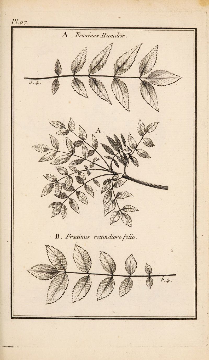 PI-S7- A . PraacmitJ Siunihar,