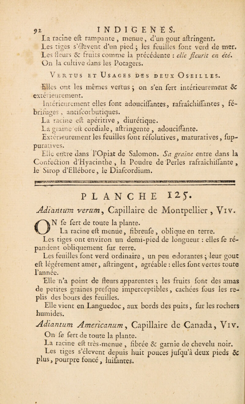 5? t, ' INDIGENES. La racine eft rampante , menue, d’un goût affringent. Les tiges s’éfevent d’un pied j les feuilles font verd de mer. Les fleurs & fruits comme la précédente : elle fleurit en été. On la cultive dans les Potagers. Vertus e t U s a g e s des deux Oseilles. Elles ont les mêmes vertus} on s’en fert intérieurement Sc extérieurement. intérieurement elles font adouciffantes, rafraîchiflantes 5 fé¬ brifuges , ancifcorbutiques. La racine efb apéritive , diurétique. La graine eit cordiale, aftringente , adoucifTante. Extérieurement les feuilles font réfolutives, maturatives, fup- putatives. Elle entre dans 1-Opiat de Salomon. Sa graine entre dans la Confection d’Hyacinthe , la Poudre de Perles rafraîchiffante , le Sirop d’Ellébore, le Diafèordium. PLANCHE Ï2J. Adiantum verutn, Capillaire de Montpellier , Viv. ON fe fert de toute la plante. La racine ell menue, fibreufe, oblique en terre. Les tiges ont environ un demi-pied de longueur : elles fe ré¬ pandent obliquement fur terre. Les feuilles font verd ordinaire , un peu odorantes j leur gouc eft légèrement amer, aftringent, agréable : elles font vertes toute l’année. Elle n’a point de fleurs apparentes ; les fruits font des amas de petites graines prefque imperceptibles, cachées fous les re¬ plis des bouts des feuilles. Ell e vient en Languedoc, aux bords des puits, fur les rochers humides. Adiantum Americanum , Capillaire de Canada, Viv. On le fert de toute la plante. La racine eft très-menue , fibrée &c garnie de chevelu noir. Les tiges s’élèvent depuis huit pouces jufqu’à deux pieds §C plus, pourpre foncé, iuifantes. /