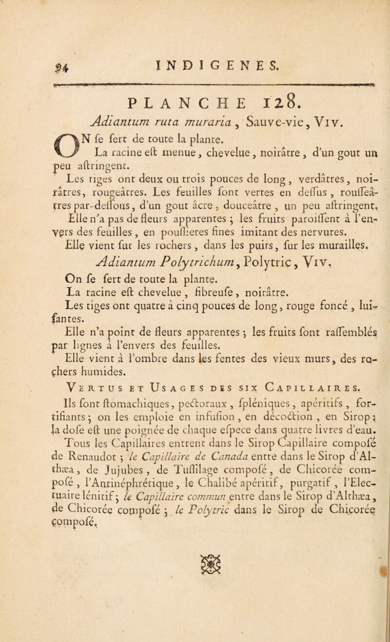 fc'MW »■. — — —— ——— * —' I ■Tl PLANCHE 12 8. Adiantum ruta murarïa , Sauve-vie, Viv. ON fe fert de toute la plante. La racine eft menue , chevelue , noirâtre , d'un goût un peu aftringent. Les tiges ont deux ou trois pouces de long , verdâtres, noi¬ râtres, rougeâtres. Les feuilles font vertes en deffus, roulTeâ- tres par-defTous, d’un goût âcre, douceâtre , un peu aftringent» Elle n'a pas de fleurs apparentes, les fruits parodient à l’en- yçrs des feuilles , en pouftieres fines imitant des nervures. Elle vient fut les rochers, dans les puits, fur les murailles. Adiantum Polytrichum, Polytric, Viv. On fe fert de toute la plante. La racine eft chevelue , fibreufe, noirâtre. Les tiges ont quatre à cinq pouces de long, rouge foncé , lui- fan tes. Elle n’a point de fleurs apparentes *, les fruits font raffemblés par lignes a l’envers des feuilles. Elle vient à l’ombre dans les fentes des vieux murs, des ro- çhers humides. Vertus et Usages des six Capillaires. Ils font ftomachiques, peétoraux , fpléniques , apéritifs , for¬ tifiants * on les emploie en infufion, en décoétion , en Sirops la dofe eft une poignée de chaque efpece dans quatre livres d’eau. Tous les Capillaires entrent dans le Sirop Capillaire compofé de Renaudot ; le Capillaire de Canada entre dans le Sirop d’Al- tbæa, de Jujubes, de Tuflilage compofé, de Chicorée com¬ pofé , l’Antinéphrétique, le Chalibé apéritif, purgatif , l’Elec- tuaire lénitif • U Capillaire commun entre dans le Sirop d’Althæa, de Chicorée copipofé ; le Pclytric dans le Sirop de Chicorée çompofé, f