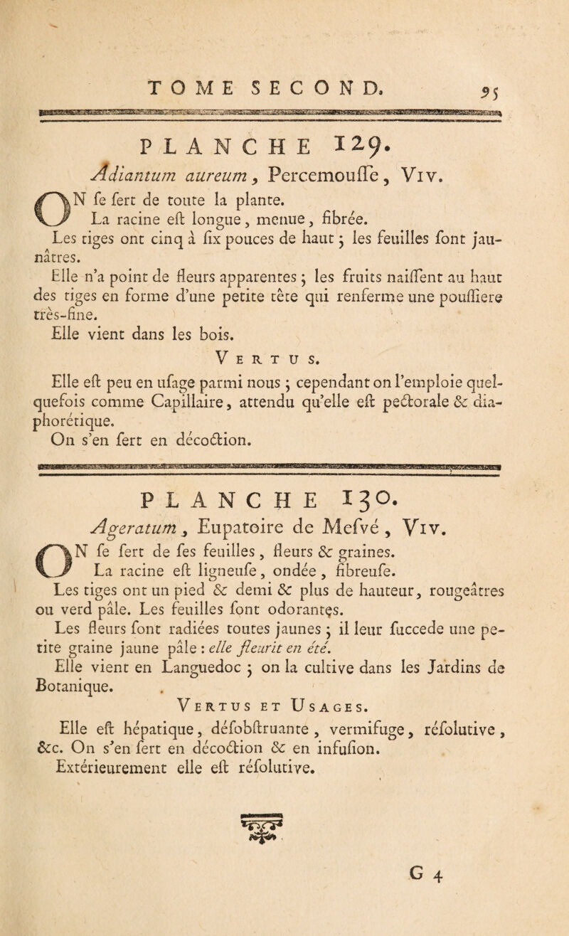 *5 PLANCHE 12.9. Adiantum aureum , Percemouffe, Viv. SN fe fert de toute la plante. _ La racine eft longue, menue , fibrée. Les tiges ont cinq à fix pouces de haut 3 ies feuilles font jau¬ nâtres. Elle n’a point de fleurs apparentes ; les fruits naifïent au haut des tiges en forme d’une petite tête qui renferme une pouftiere très-fine. Elle vient dans les bois. Vertus. Elle eft peu en ufage parmi nous ; cependant on l’emploie quel¬ quefois comme Capillaire, attendu qu’elle eft peétorale & dia¬ phonique. On s’en fert en décoétion. PLANCHE 130. Agératum Eupatoire de Mefvé , Viv. ON fe fert de fes feuilles, fleurs Sc graines. La racine eft ligneufe, ondée, fibreufe. Les tiges ont un pied & demi & plus de hauteur, rougeâtres ou verd pâle. Les feuilles font odorantes. Les fleurs font radiées toutes jaunes * il leur fuccede une pe¬ tite graine jaune pâle : elle fleurit en été. Elle vient en Languedoc ; on la cultive dans les Jardins de Botanique. Vertus et Usages. Elle eft hépatique, défobftruante , vermifuge, réfolutive , ôcc. On s'en fert en décoction & en infufion. Extérieurement elle eft réfolutive.