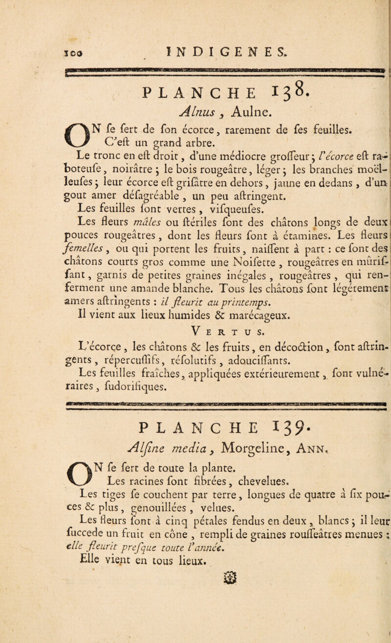 PLANCHE 138. A Inus j Aulne. N fe fert de Ton écorce, rarement de fes feuilles. C'eft un grand arbre. Le tronc en eft droit, d’une médiocre grofleur • Vécorce eft ra~ boteufe, noirâtre \ le bois rougeâtre, léger \ les branches moël- leufes j leur écorce eh: grifâtre en dehors, jaune en dedans, d’un goût amer défagréable , un peu aftringent. Les feuilles font verres , vifqueufes. Les fleurs mâles ou ftériles font des chatons longs de deux pouces rougeâtres, dont les fleurs font â étamines. Les fleurs femelles , ou qui portent les fruits, naiflent â part : ce font des châtons courts gros comme une Noifette , rougeâtres en mûrif- fant, garnis de petites graines inégales , rougeâtres , qui ren¬ ferment une amande blanche. Tous les châtons font légèrement amers aftrmgents : il fleurit au printemps. Il vient aux lieux humides & marécageux. Vertus. L’écorçe , les châtons &c les fruits, en décoétion, font aftrin- gents, répercuflifs, réfolutifs , adouciflants. Les feuilles fraîches , appliquées extérieurement, font vulné- raires, fudoriflques. PLANCHE 139- Aljlne media y Morgeline, Ann, ON fe fert de toute la plante. Les racines font fibrées, chevelues. Les tiges fe couchent par terre, longues de quatre â fix pou¬ ces & plus, genouillées , velues. Les fleurs font à cinq pétales fendus en deux , blancs ; il leur fuccede un fruit en cône , rempli de graines rouifeâtres menues ; elle fleurit prcfque toute Vannée. bile vient en tous lieux. m 1