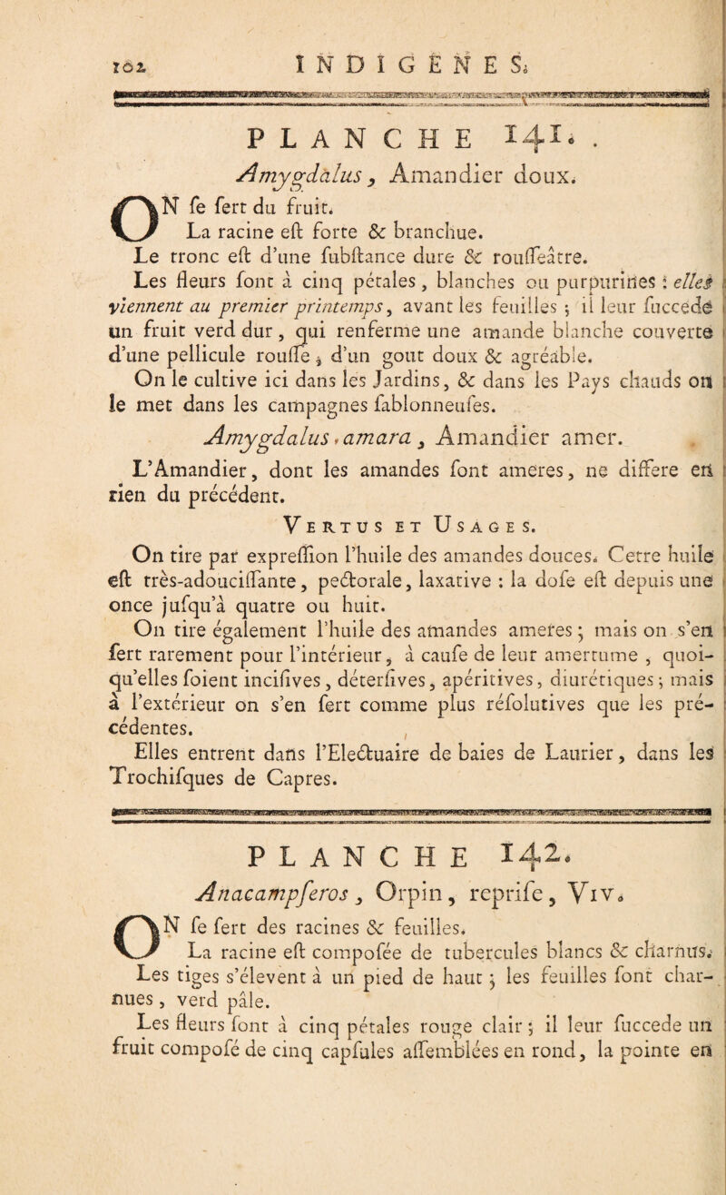 PLANCHE I4Ï» . Amyvieillis, Amandier doux. ON fe fert du fruit. La racine eft forte &c branchue. Le tronc eft d’une fubftance dure 3c roufleâtre. Les fleurs font à cinq pétales, blanches ou purpurines * elles viennent au premier printemps, avant les feuilles *, il leur fuccédô un fruit verd dur, qui renferme une amande blanche couverte d’une pellicule roufîe * d’un goût doux <5c agréable. On le cultive ici dans les Jardins, & dans les Pays chauds on le met dans les campagnes fablonneufes. Amygdalus famara > Amandier amer. L’Amandier, dont les amandes font ameres, ne différé en rien du précédent. Vertus et Usages. On tire par exprefiïon l’huile des amandes douces» Cetre huile eft très-adouciffante, peétorale, laxative : la dofe eft depuis une once jufqu’à quatre ou huit. O11 tire également l’huile des amandes ameres ; mais on s’en fert rarement pour l’intérieur, â caufe de leur amertume , quoi¬ qu’elles foient incifives, déteriives, apéritives, diurétiques ; mais à l’extérieur on s’en fert comme plus réfolutives que les pré¬ cédentes. Elles entrent dans l’Elechiaire de baies de Laurier, dans les Trochifques de Câpres. PLANCHE 142. Artacampferos, Orpin, reprife, Viv„ ON fe fert des racines 3c feuilles* La racine eft compofée de tubercules blancs 3c charnus; Les tiges s’élèvent à un pied de haut j les feuilles font char¬ nues , verd pâle. Les fleurs font à cinq pétales ronge clair ; il leur fuccede un fruit compofé de cinq capfules affemblées en rond, la pointe en