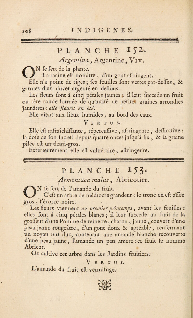 \ ««5 PLANCHE I52« Argentina, Argentine ? Yi v. ON fe fert de la plante. La racine efl noirâtre , dun goût aflringent. Elle n’a point de tiges ; fes feuilles font vertes par-defliis, Sc garnies d’un duvet argenté en deifous. Les fleurs font a cinq pétales jaunes ; il leur fuccede un fruit ou tête ronde formée de quantité de petites graines arrondies jaunâtres : elle fleurit en été. Elle vient aux lieux humides, au bord des eaux. Elle efl rafraîchiflfante , répercuflive , aflringente , deflicati'fe : la dofe de fon fuc efl: depuis quatre onces jufqu’à fix, & la graine pilée efl: un demi-gros. Extérieurement elle efl: vulnéraire , aflringente. PLANCHE IJ3- Armeniaca malus 3 Abricotier. ON fe fert; de l’amande du fruit. C’efl un arbre de médiocre grandeur • le tronc en efl aflez gros, Técorce noire. Les fleurs viennent au premier printemps, avant les feuilles: elles font à cinq pétales blancs ; il leur fuccede un fruit de la grofleur d’une Pomme de reinette, charnu , jaune , couvert d’une peau jaune rougeâtre, d’un goût doux &c agréable, renfermant un noyau uni dur, contenant une amande blanche recouverte d’une peau jaune, l’amande un peu amere : ce fruit fe nomme Abricot. On cultive cet arbre dans les Jardins fruitiers. V E r t u s. L’amande du fruit efl vermifuge. «►