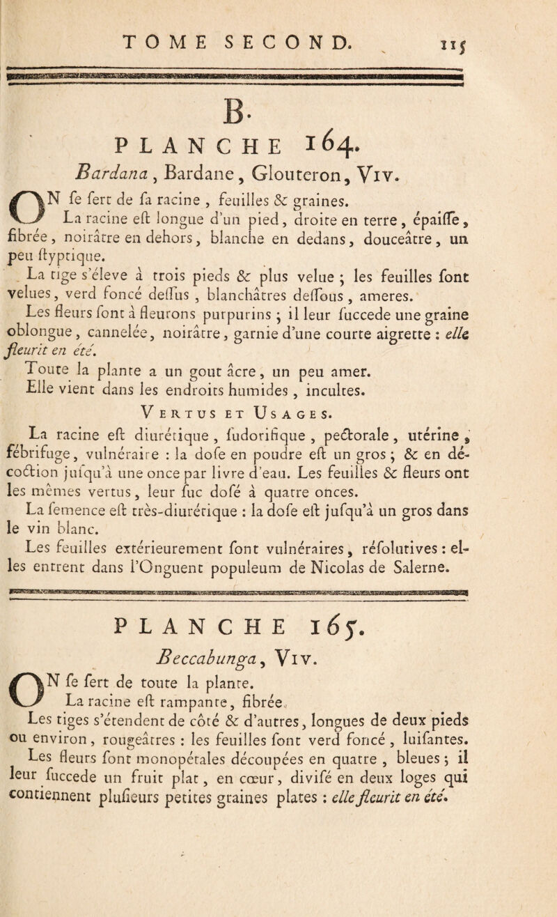 nj PLANCHE 164. Bar dan a 3 Bardane, Glouteron, Viv. ON fe fert de fa racine , feuilles de graines. La racine eft longue d’un pied, droite en terre, épaifle, fibrée , noirâtre en dehors, blanche en dedans, douceâtre , un peu ftyptique. La tige s'élève â trois pieds de plus velue ; les feuilles font velues, verd foncé dellus , blanchâtres deflous, ameres. Les fleurs font â fleurons purpurins • il leur fuccede une graine oblongue, cannelée, noirâtre, garnie dune courte aigrette : elle fleurit en été. Toute la plante a un goût âcre, un peu amer. Elle vient dans les endroits humides, incultes. Vertus et Usages. La racine eft diurétique , fudorifique , pedorale, utérine , fébrifuge, vulnéraire : la dofe en pondre eft un gros ; de en dé- codion jiuqifâ une once par livre d’eau. Les feuilles de fleurs ont les mêmes vertus, leur fuc dofé à quatre onces. La femence eft très-diurétique : la dofe eft jufqu’â un gros dans le vin blanc. Les feuilles extérieurement font vulnéraires, réfoîutives : el¬ les entrent dans l’Onguent populeum de Nicolas de Salerne. / PLANCHE 16$. Beccabunga, Viv. ON fe fert de toute la plante. La racine eft rampante, fibrée. Les tiges s’étendent de côté de d’autres, longues de deux pieds ou environ, rougeâtres : les feuilles font verd foncé , luifantes. Les fleurs font monopétales découpées en quatre , bleues -, il leur fuccede un fruit plat, en cœur, divifé en deux loges qui contiennent plufieurs petites graines plates : elle fleurit en été